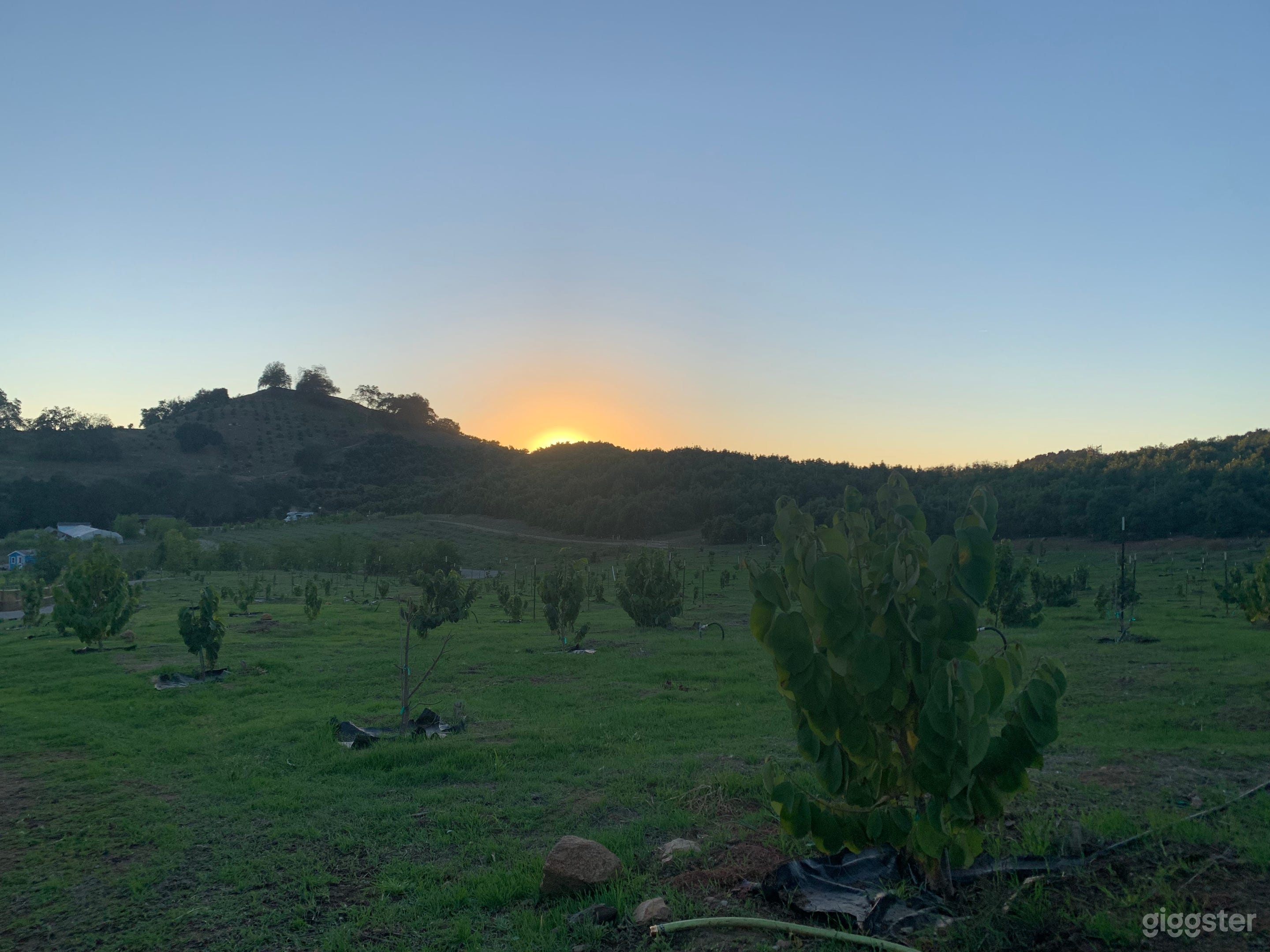 Secluded Off Grid Farm & Outdoor Space Photo 4