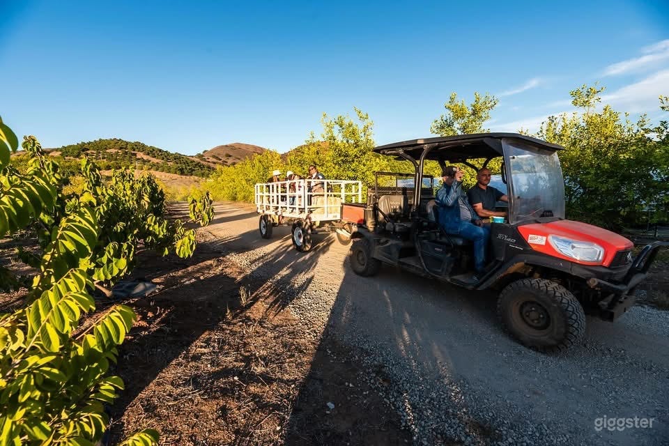 Secluded Off Grid Farm & Outdoor Space Photo 1