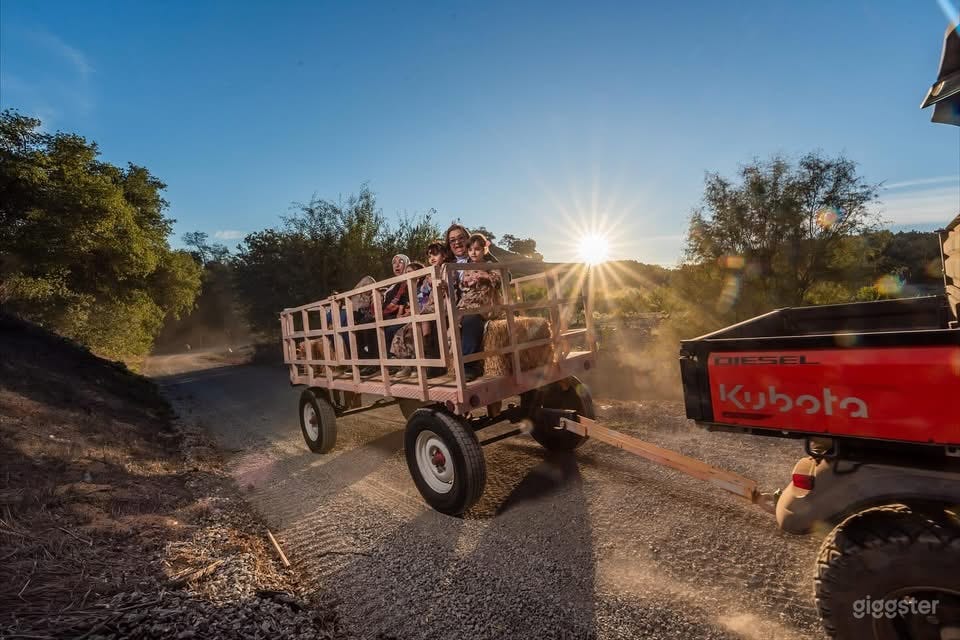 Secluded Off Grid Farm & Outdoor Space Photo 2