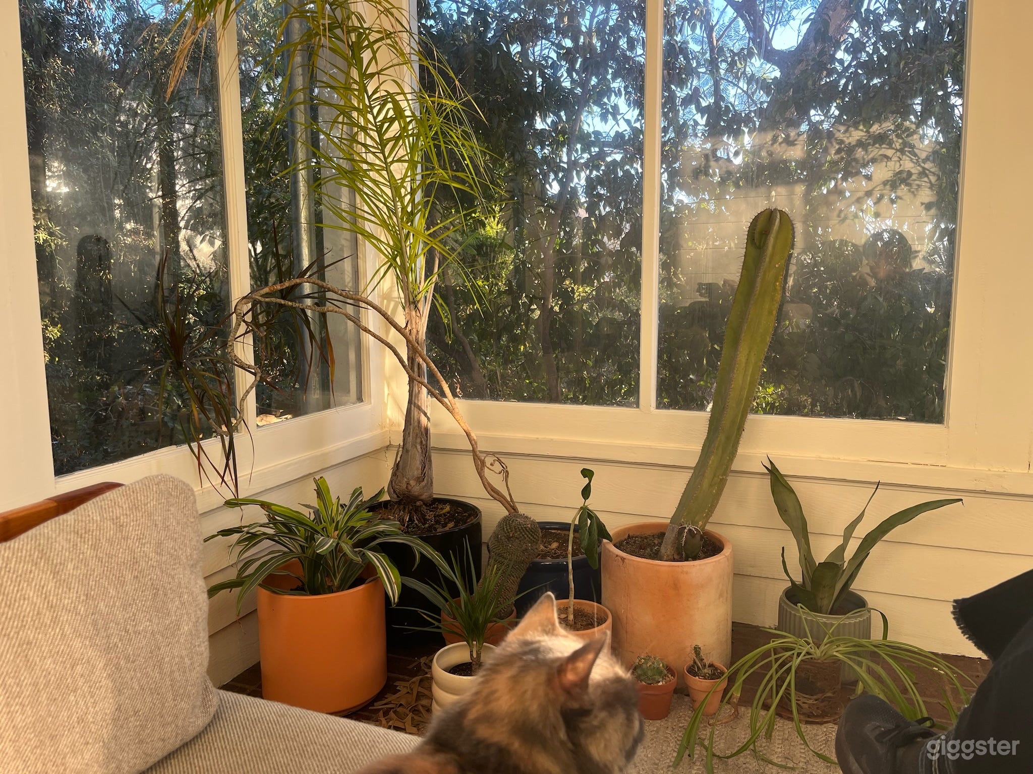 Historic 1905 Garden Estate w/ 360° Yard Photo 3