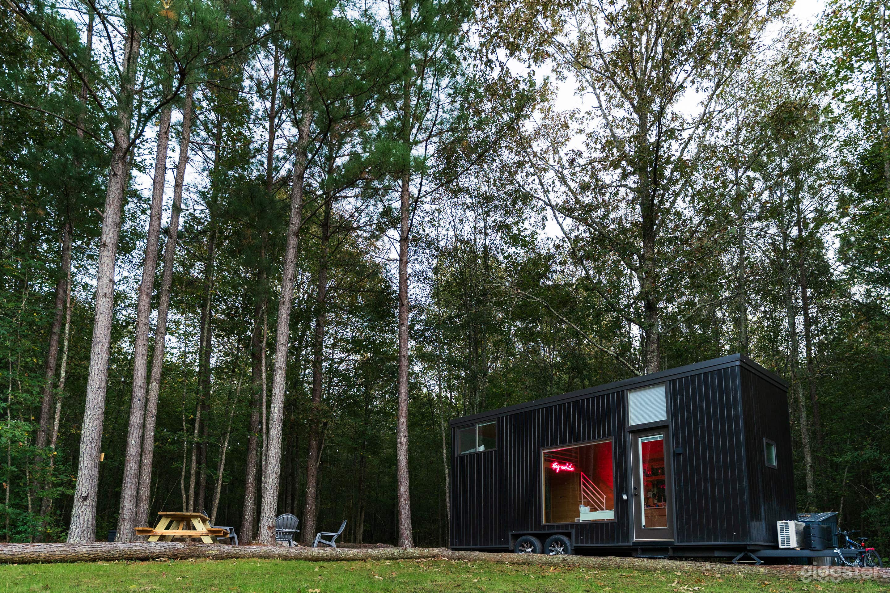 Private Tiny Home on Wooded Acreage Photo 4