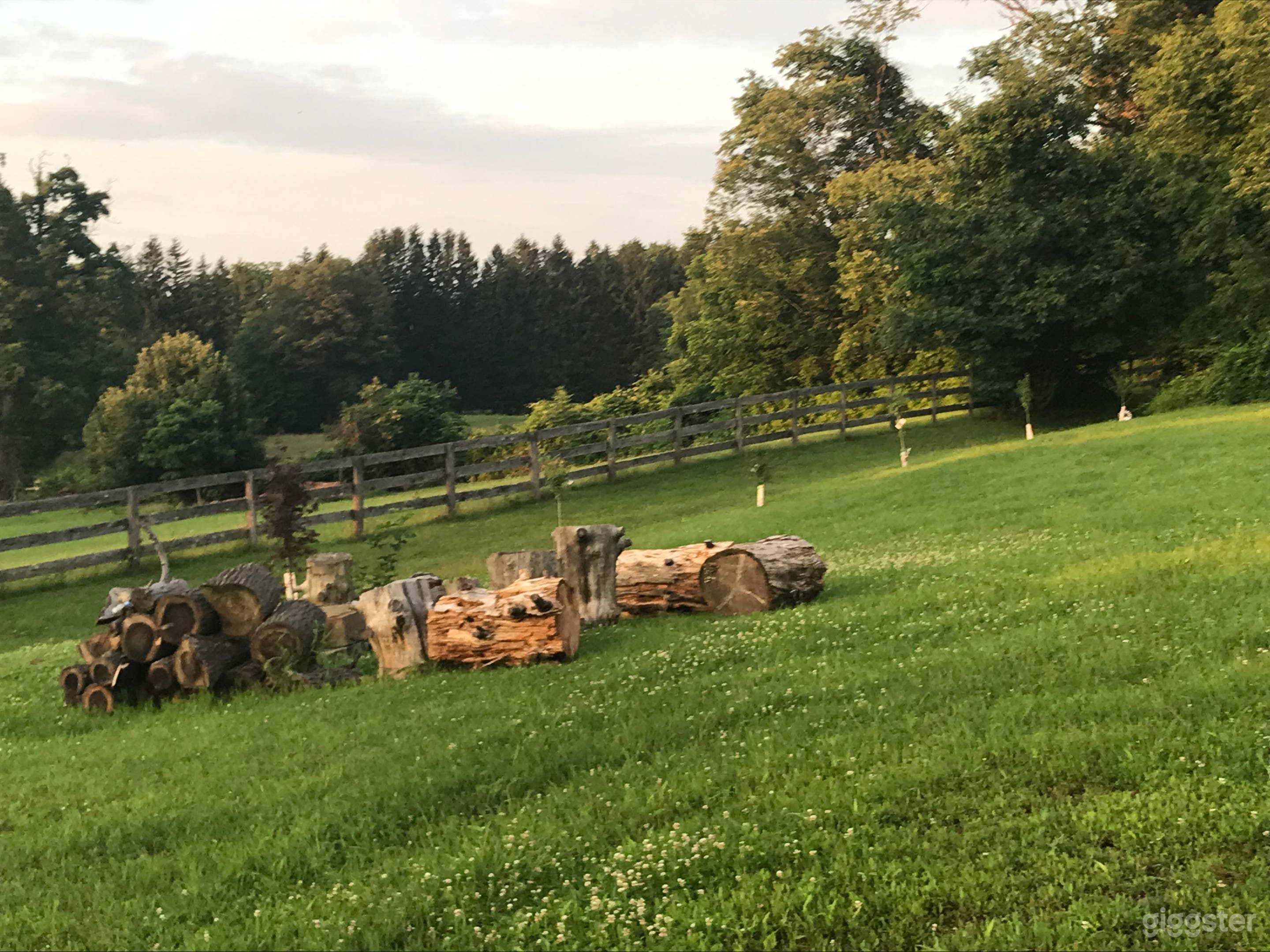 Yard where fire pit was.