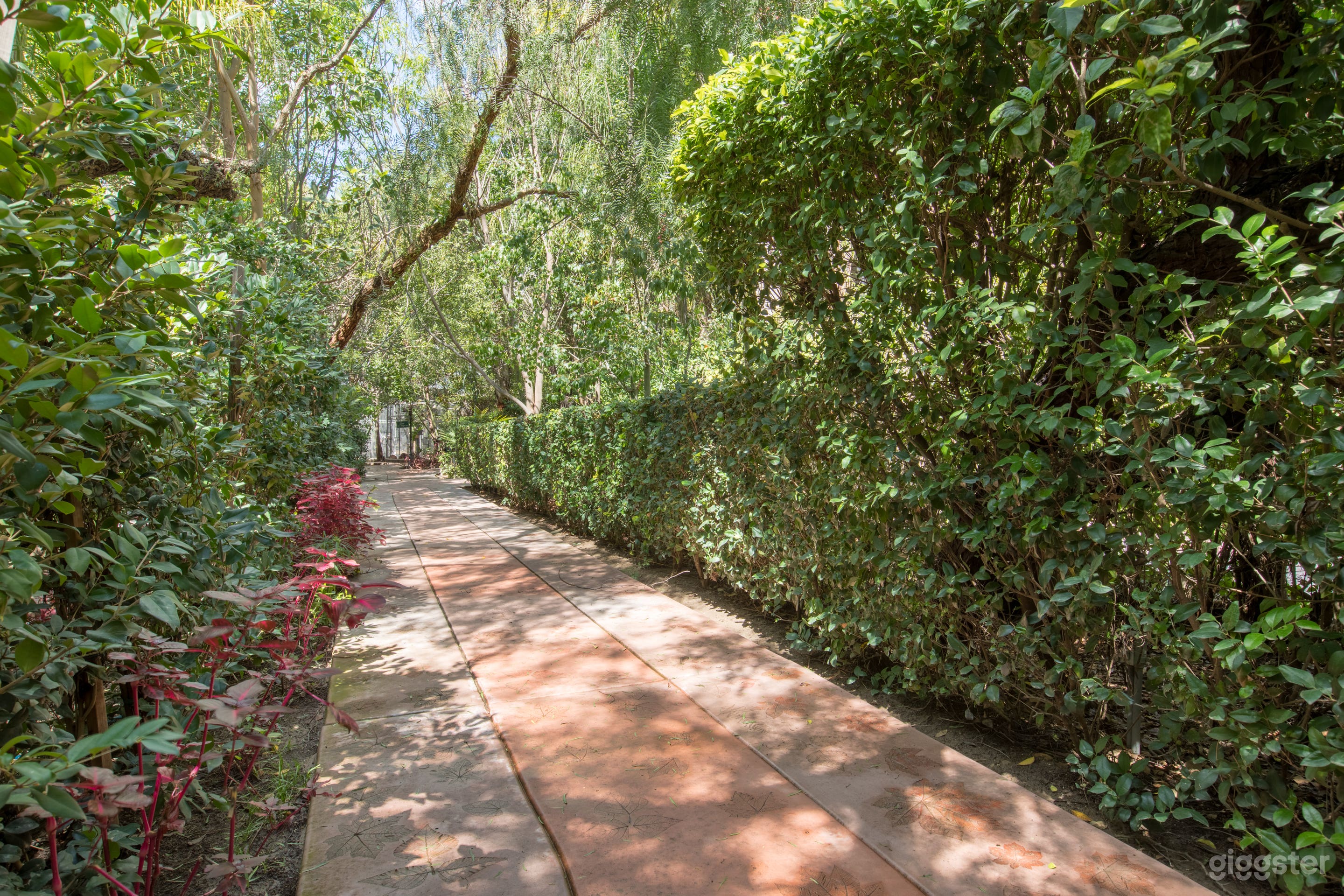 Garden Paradise Photo 1