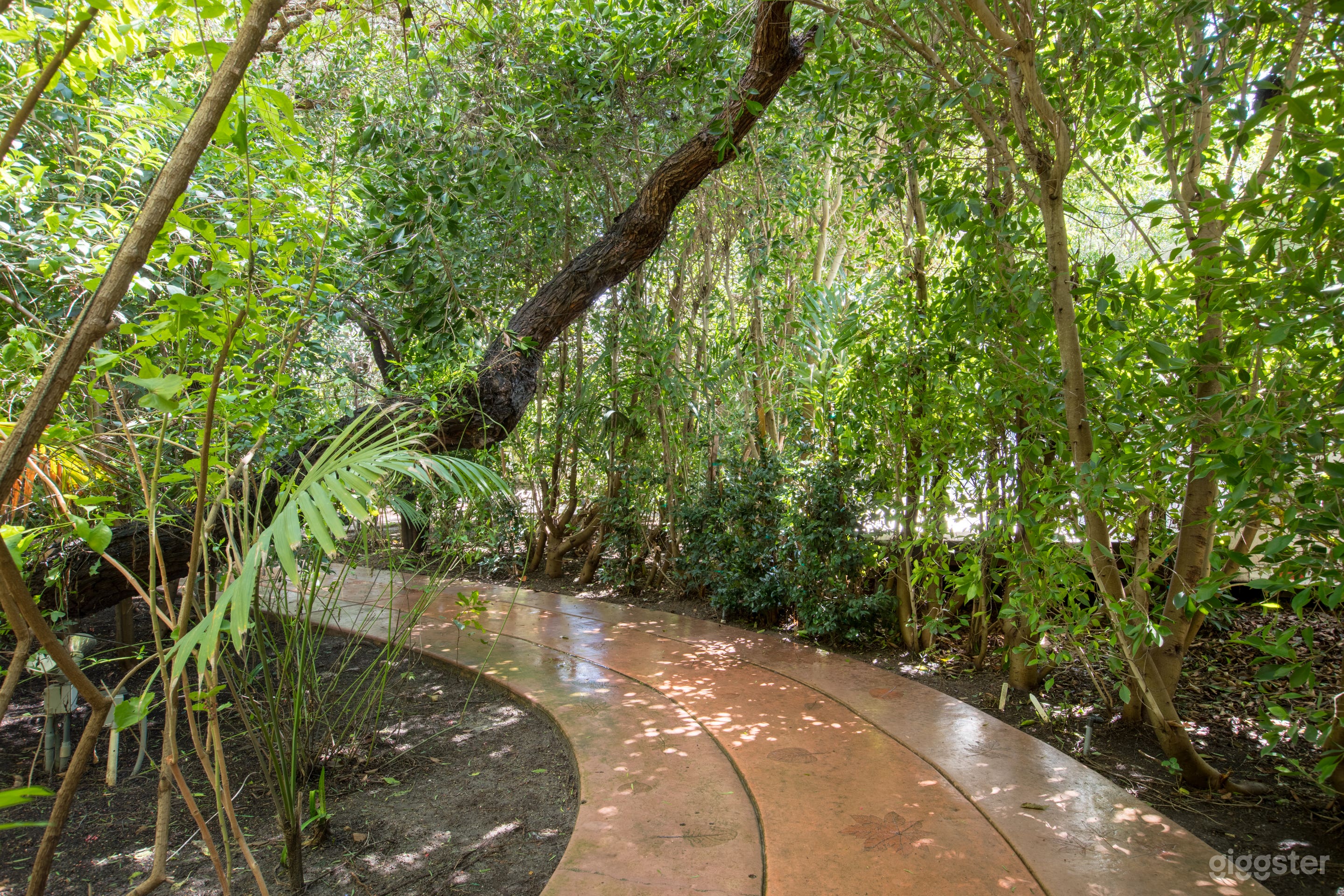 Garden Paradise Photo 2