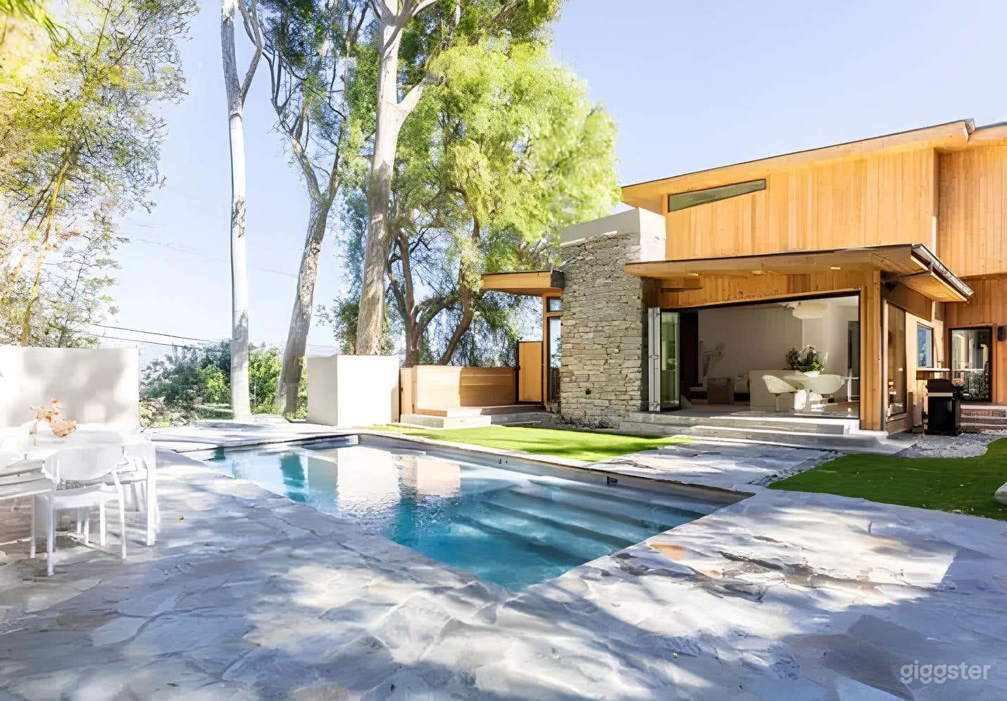 Stylish Mid-Century Sparkling Pool Photo 3