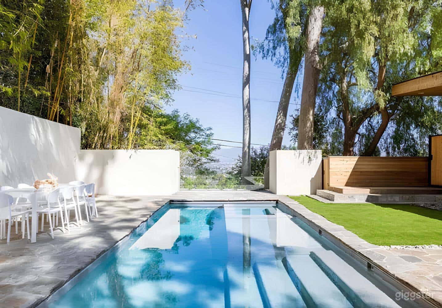 Stylish Mid-Century Sparkling Pool Photo 4