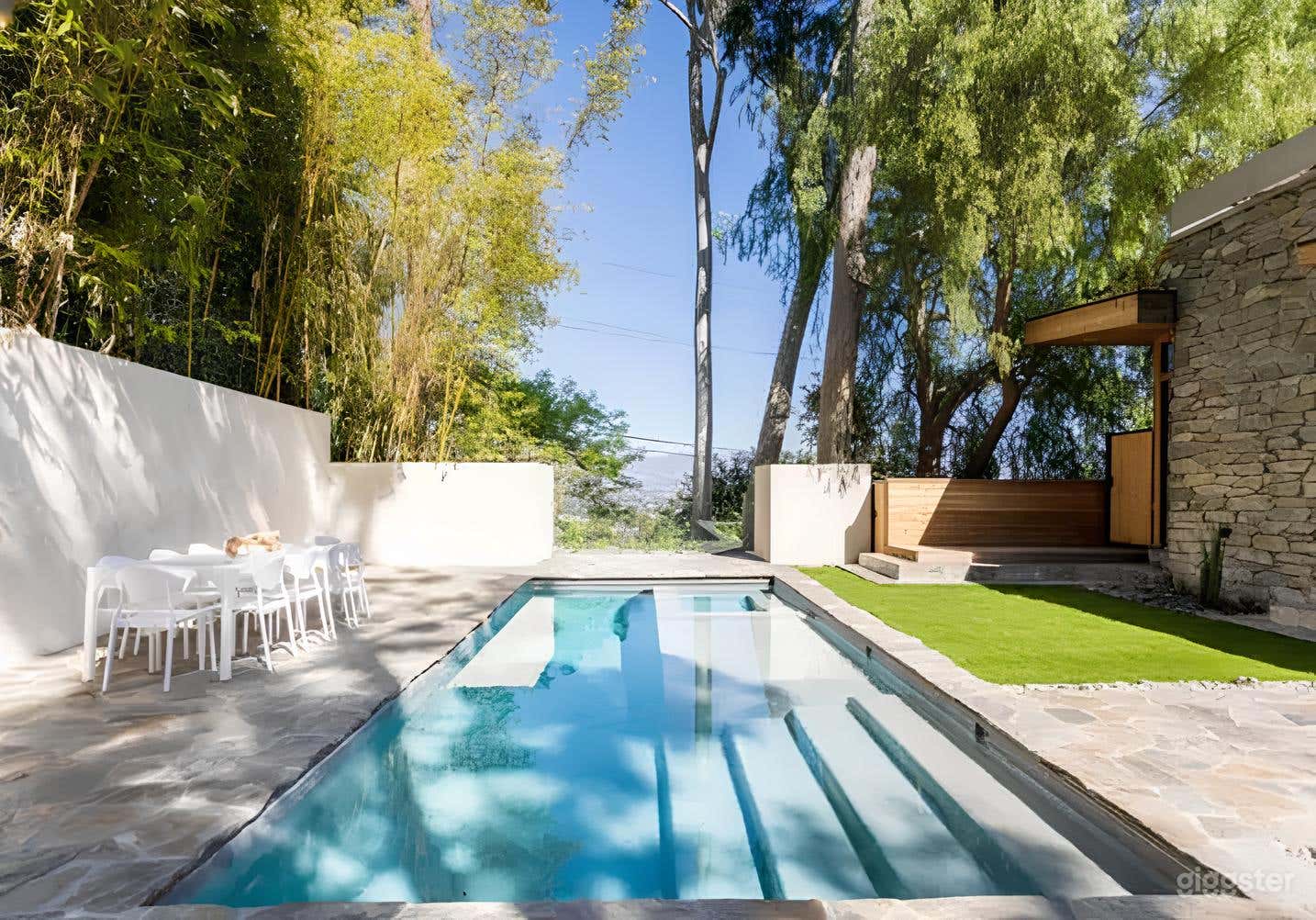 Stylish Mid-Century Sparkling Pool Photo 1