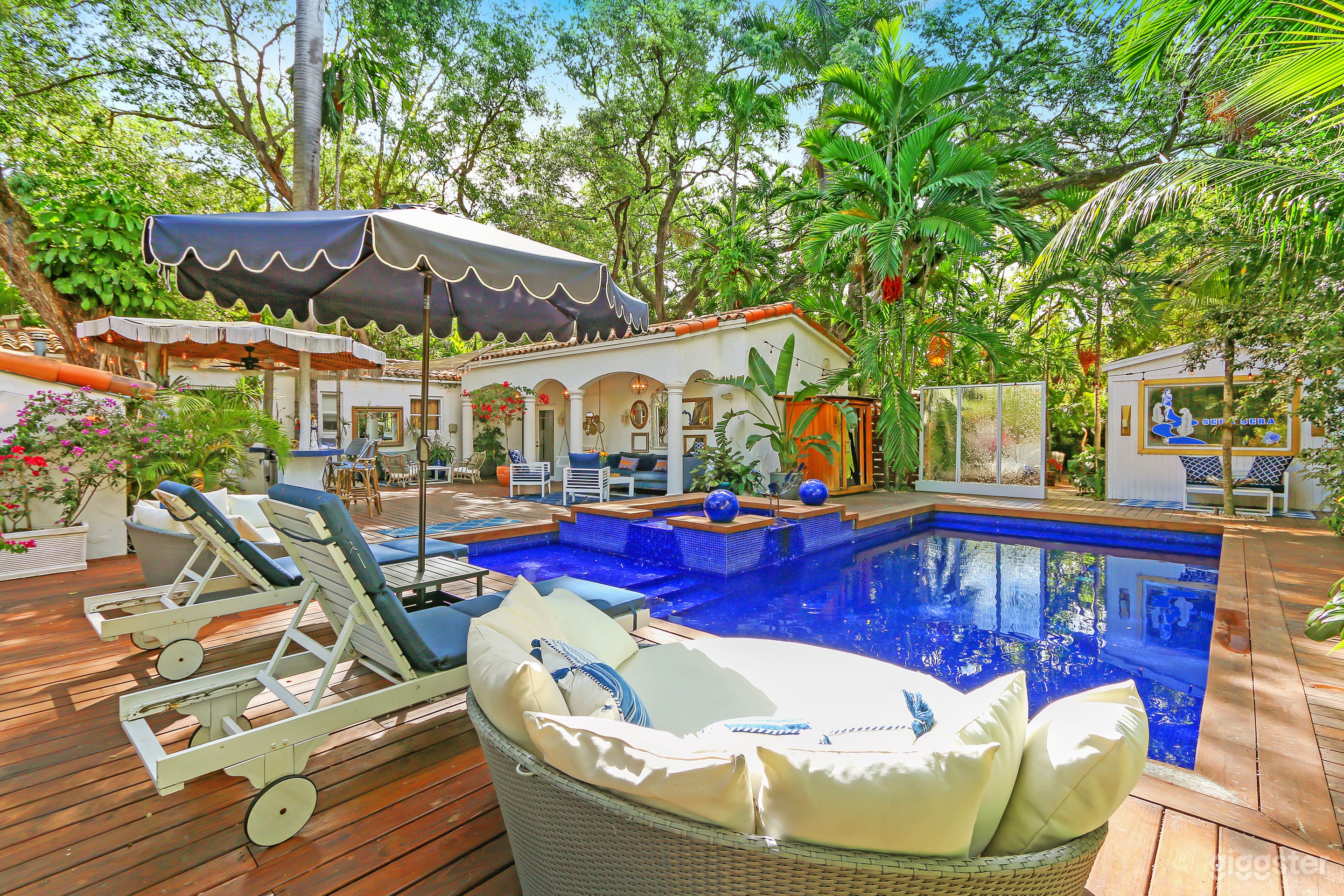 Urban Oasis with Lush Tropical Foliage Photo 1