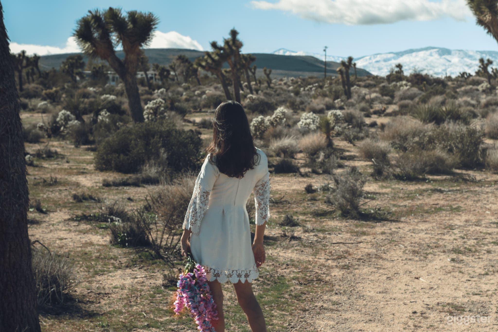 The Hills Have Eyes &amp; Joshua Trees Photo 3