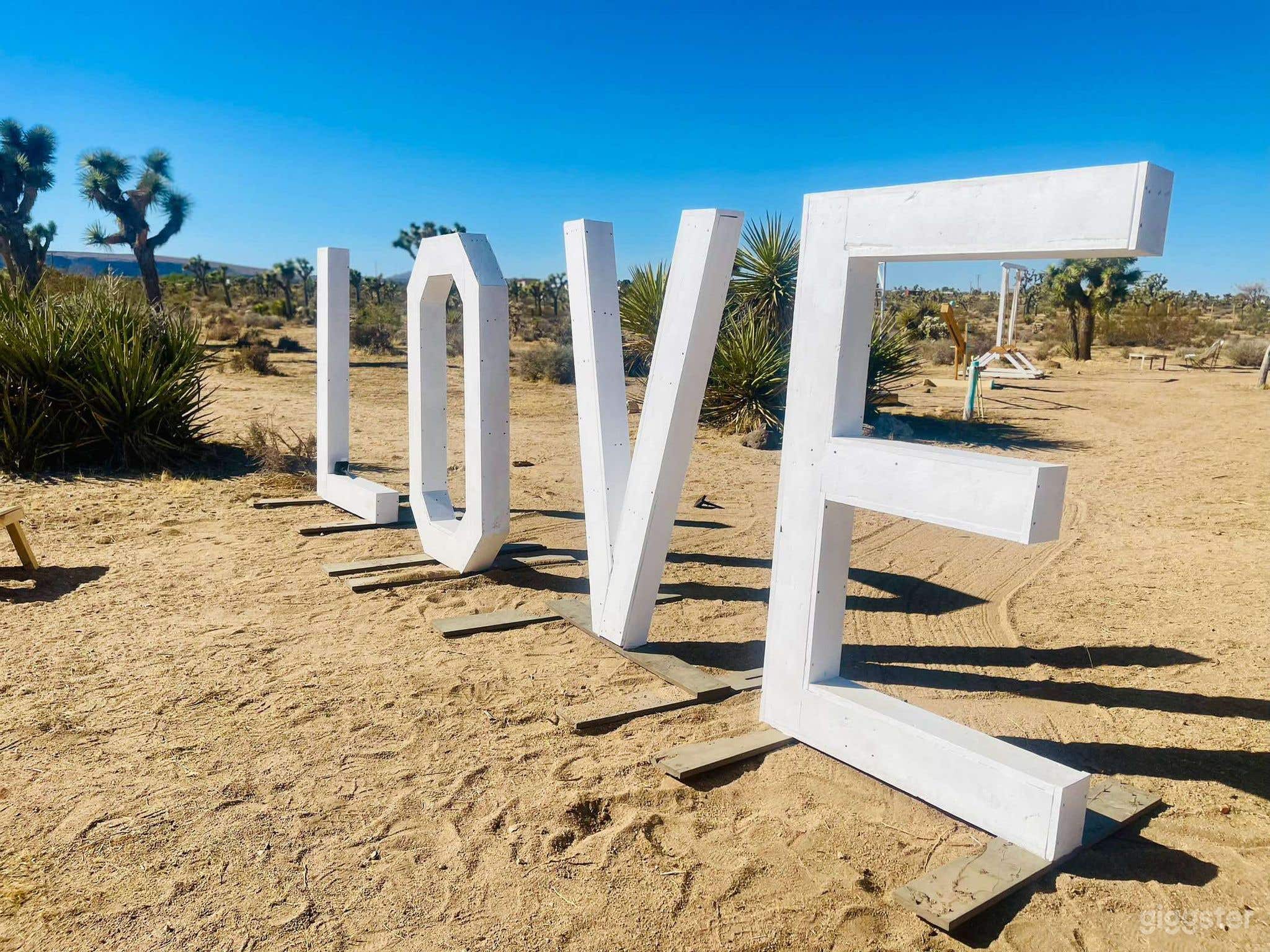 The Hills Have Eyes &amp; Joshua Trees Photo 2