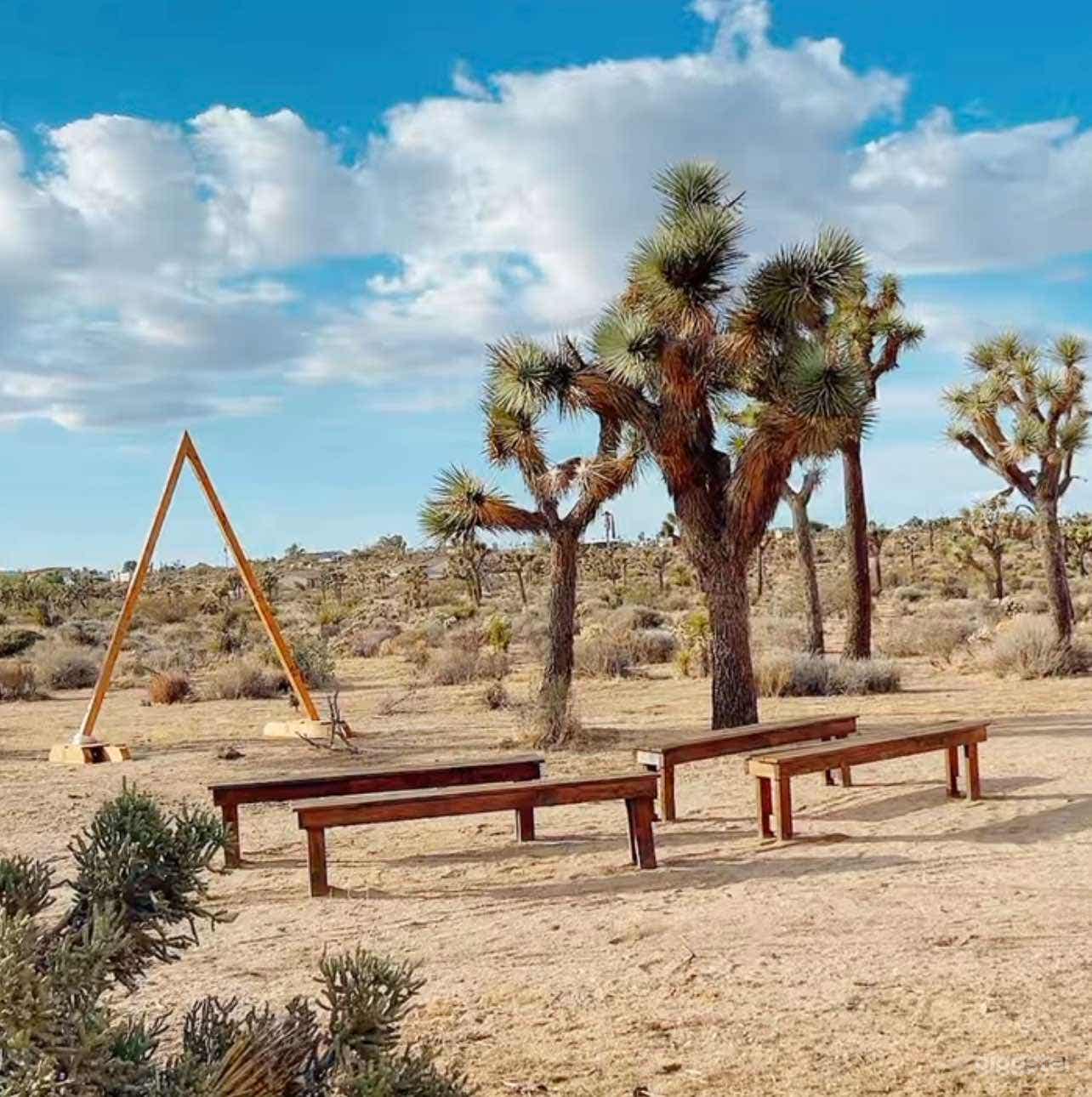 The Hills Have Eyes &amp; Joshua Trees Photo 1