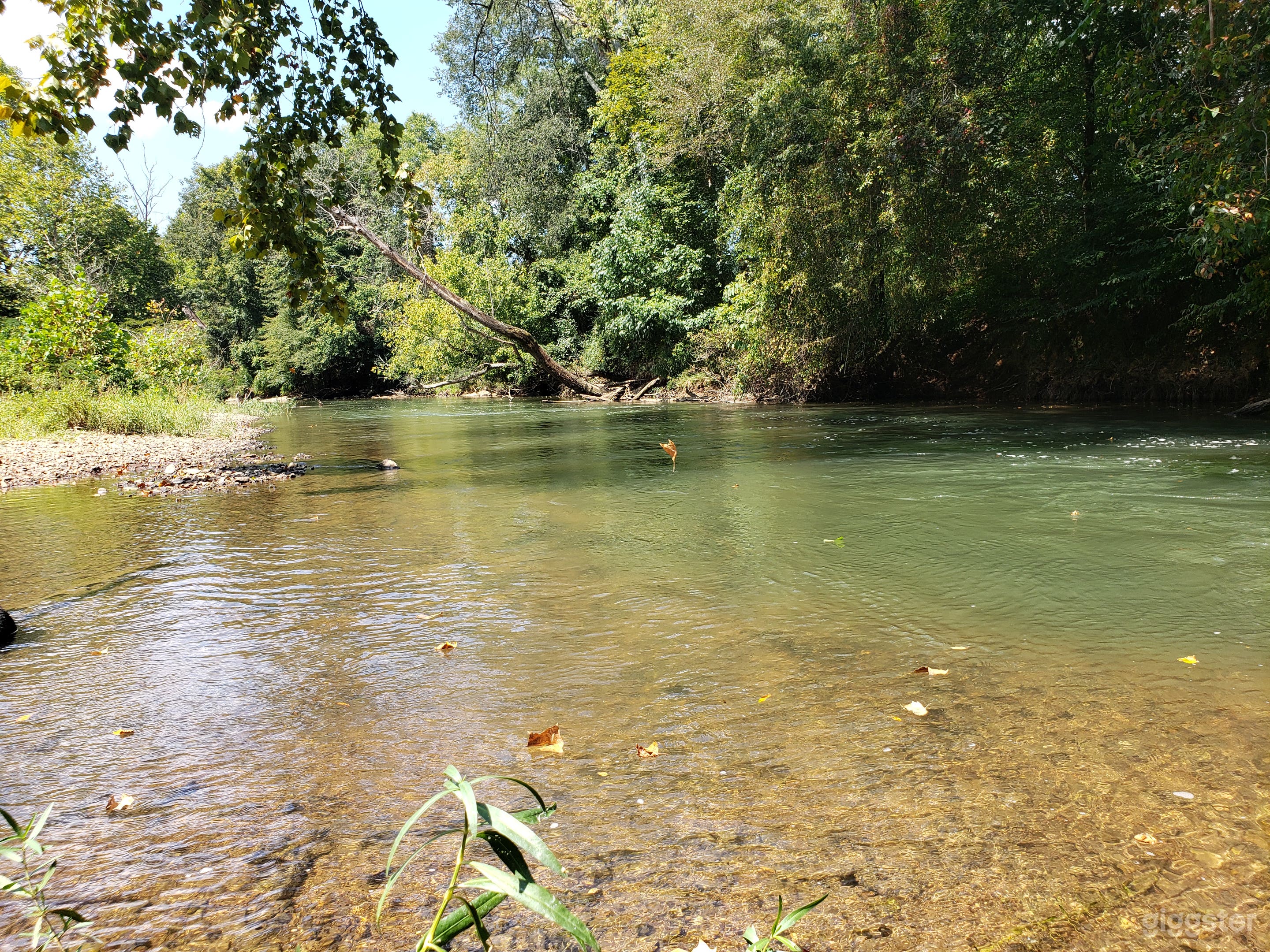 This is the buffalo river. The river bed has parking area and can be accessed with 4wd and trucks down a road recently dug from the bluff down.