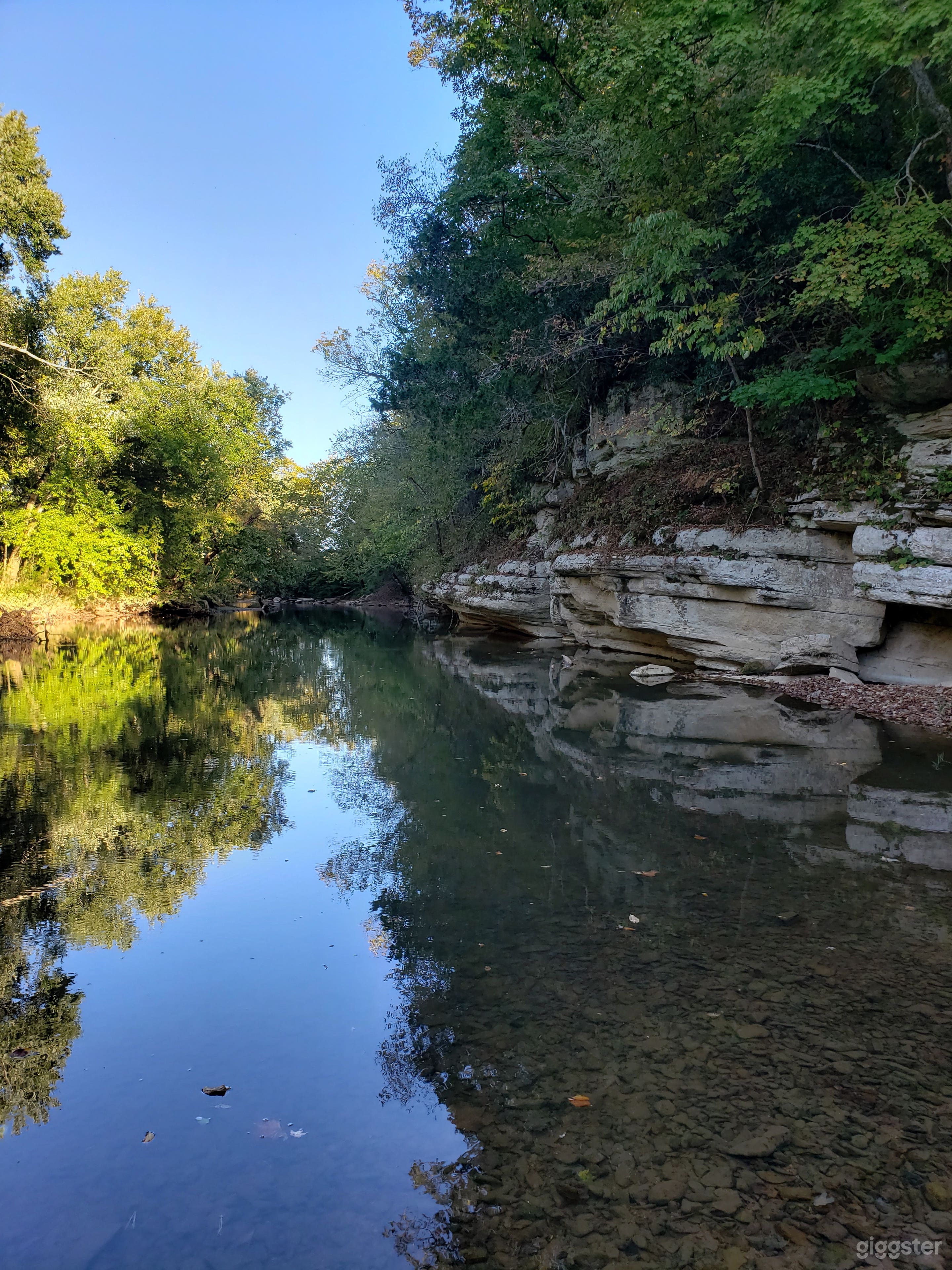 Property borders the Buffalo river with approximately 500 ft of river basin accessed by a road from the bluff. 