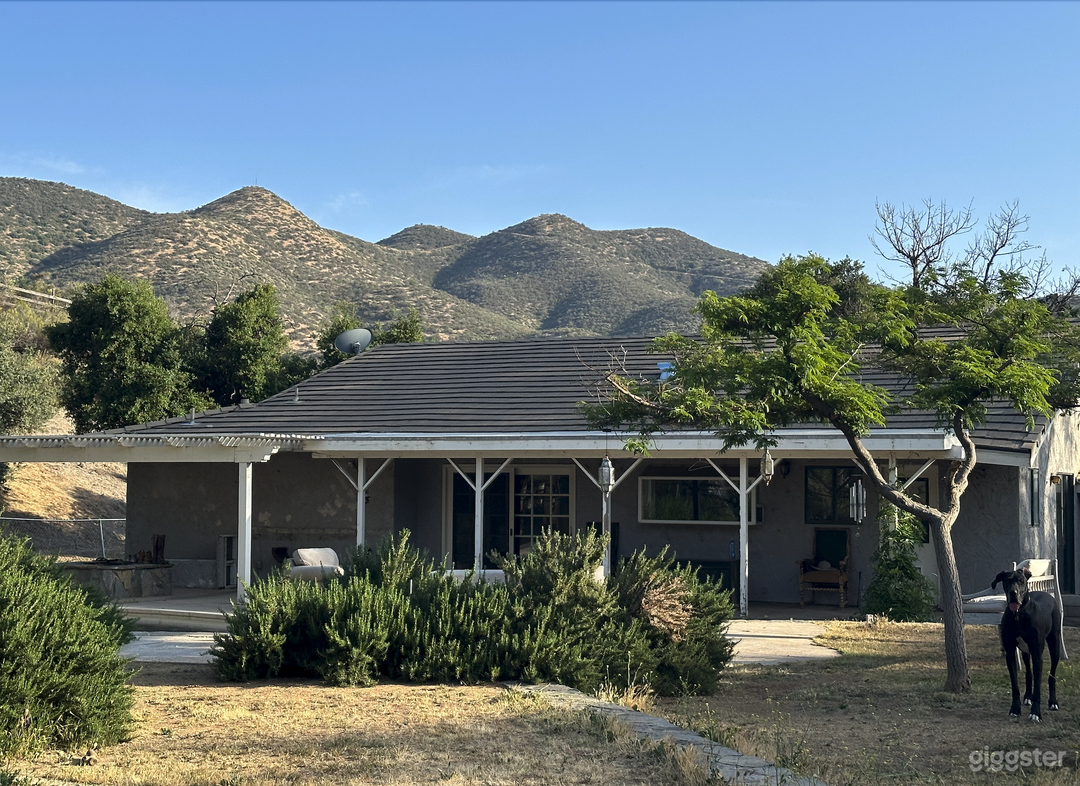 Back Yard View / Exterior Back of House
