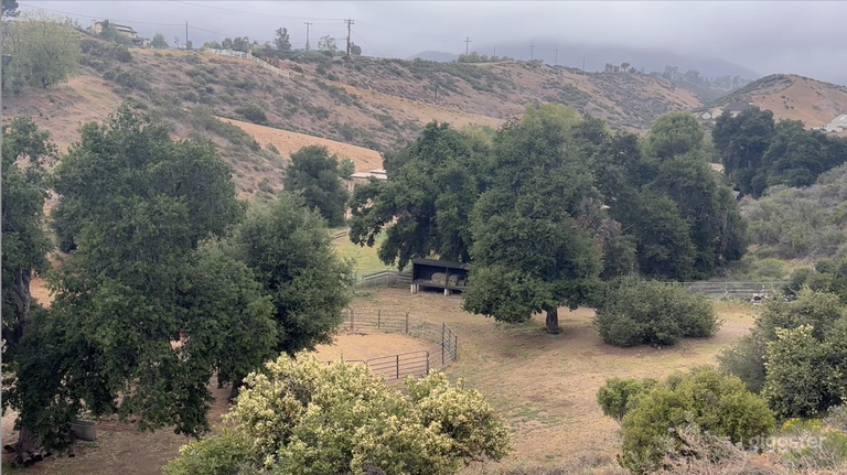  Back Yard View North Facing / Corral Pen Area 