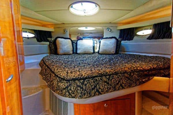 Radiant 40FT Regal Party Yacht Space Events Photo 4