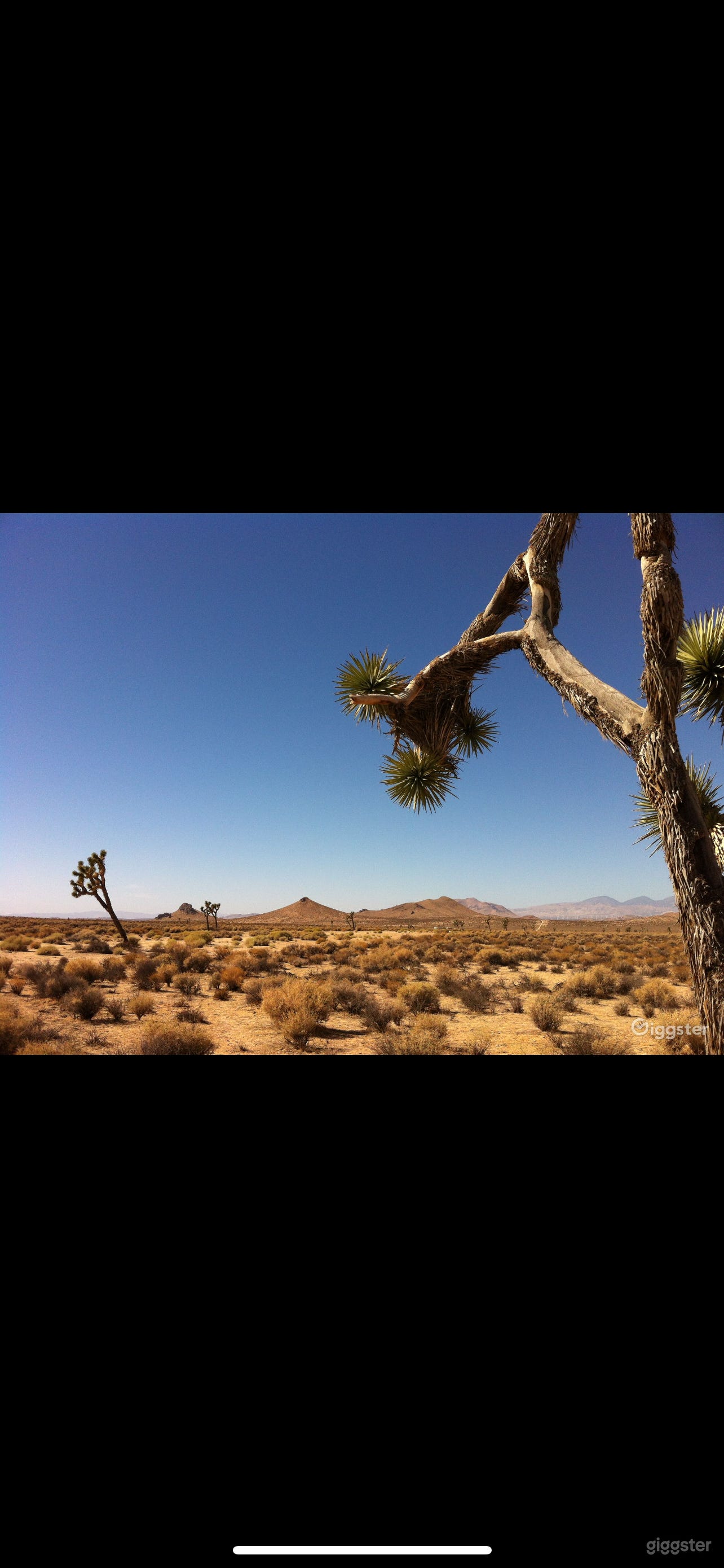 15acres Vacant Desert Flat Land Rosamond Mojave Kern Photo 2