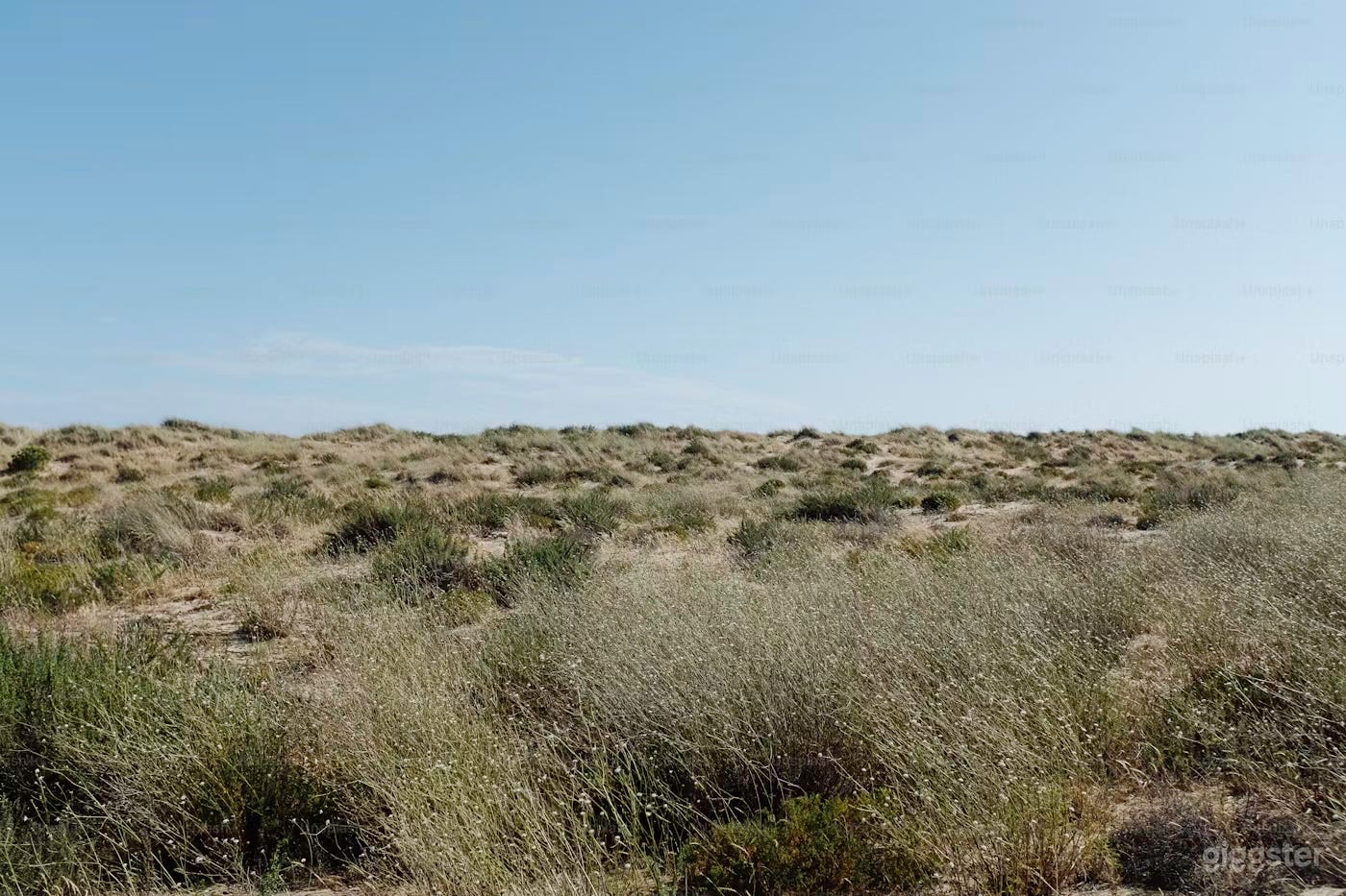 15acres Vacant Desert Flat Land Rosamond Mojave Kern Photo 4