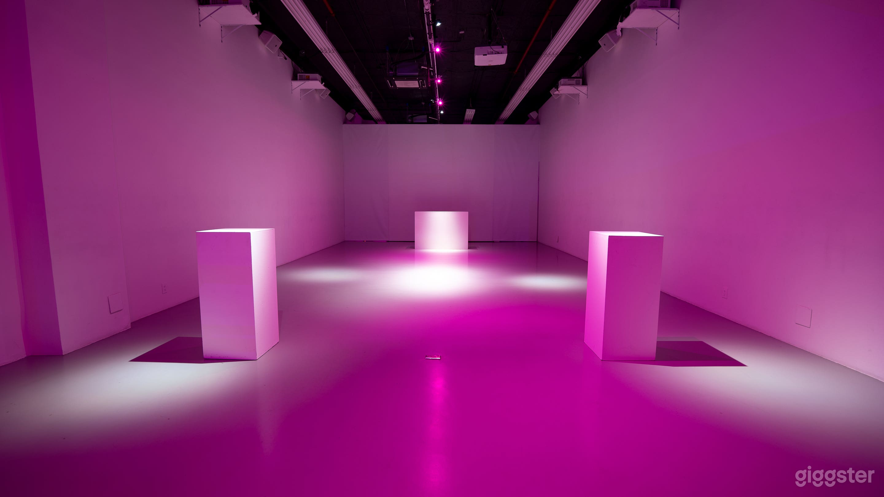 Immersive Video Projection studio in NYC Photo 2