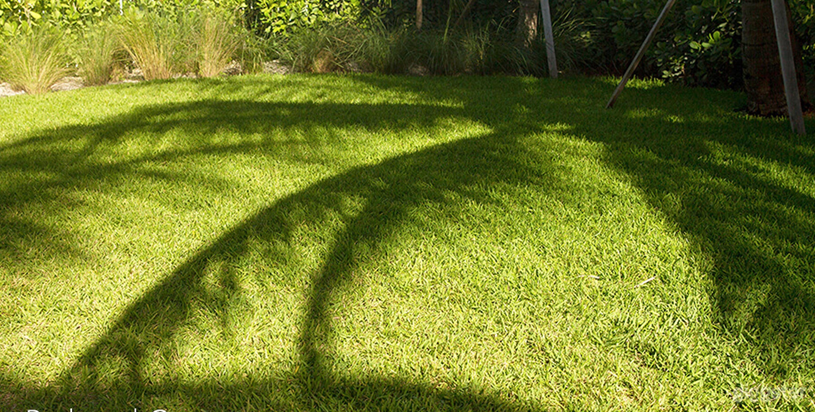 Lushly Landscaped Tropical Backyard Photo 4