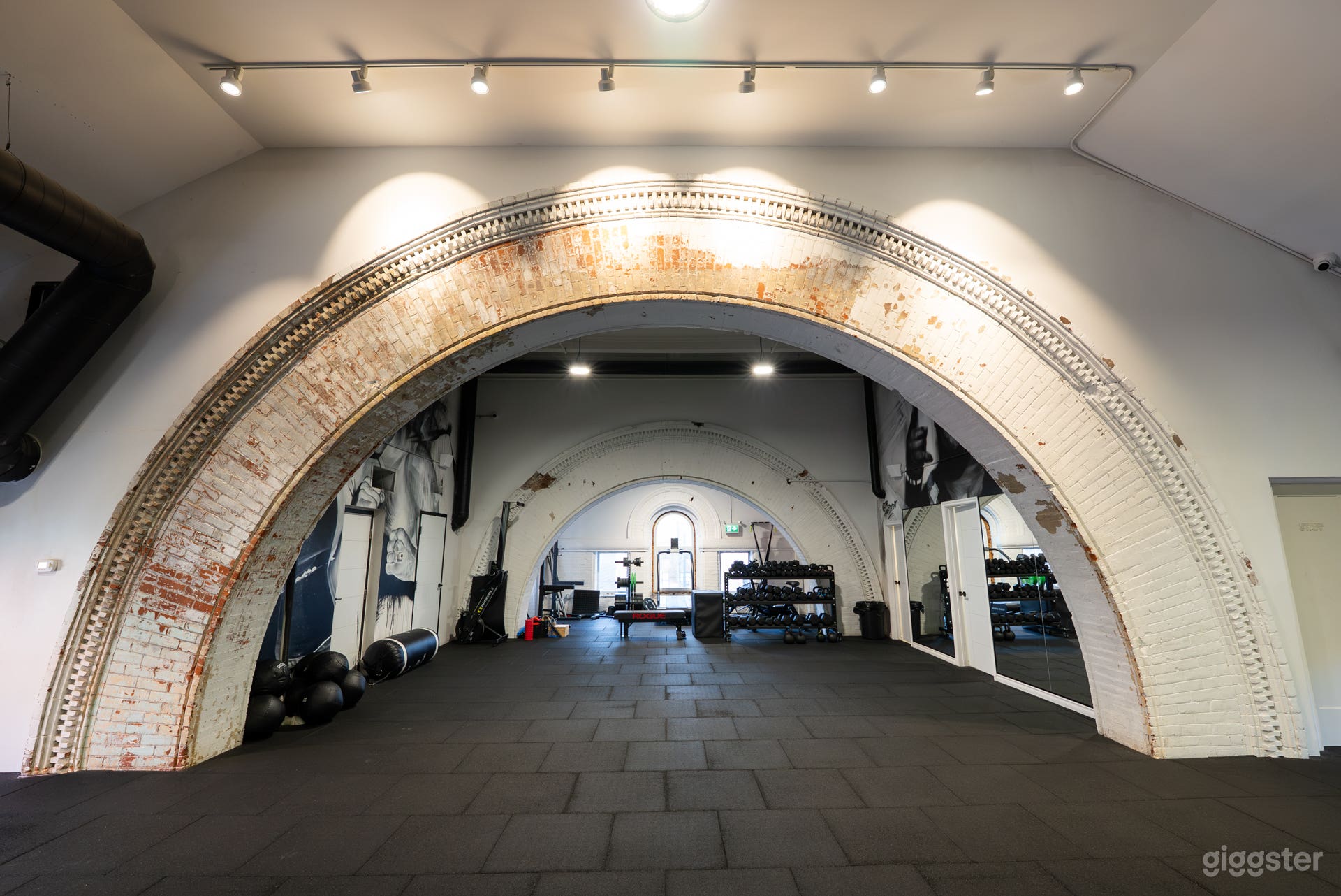 Elegant Professional Gym Space Photo 2