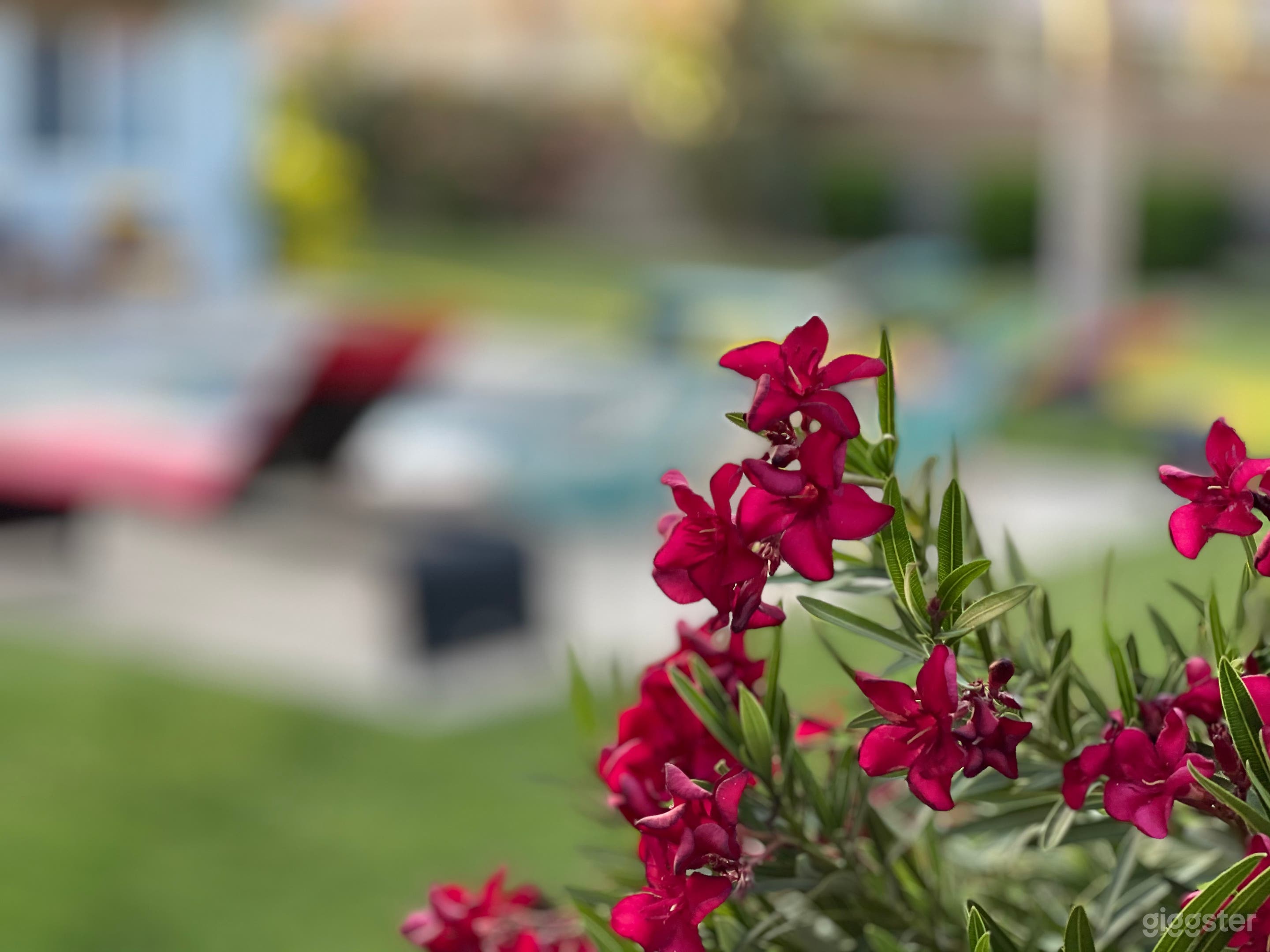 Midcentury modern 4 bed House + tropical backyard Photo 4