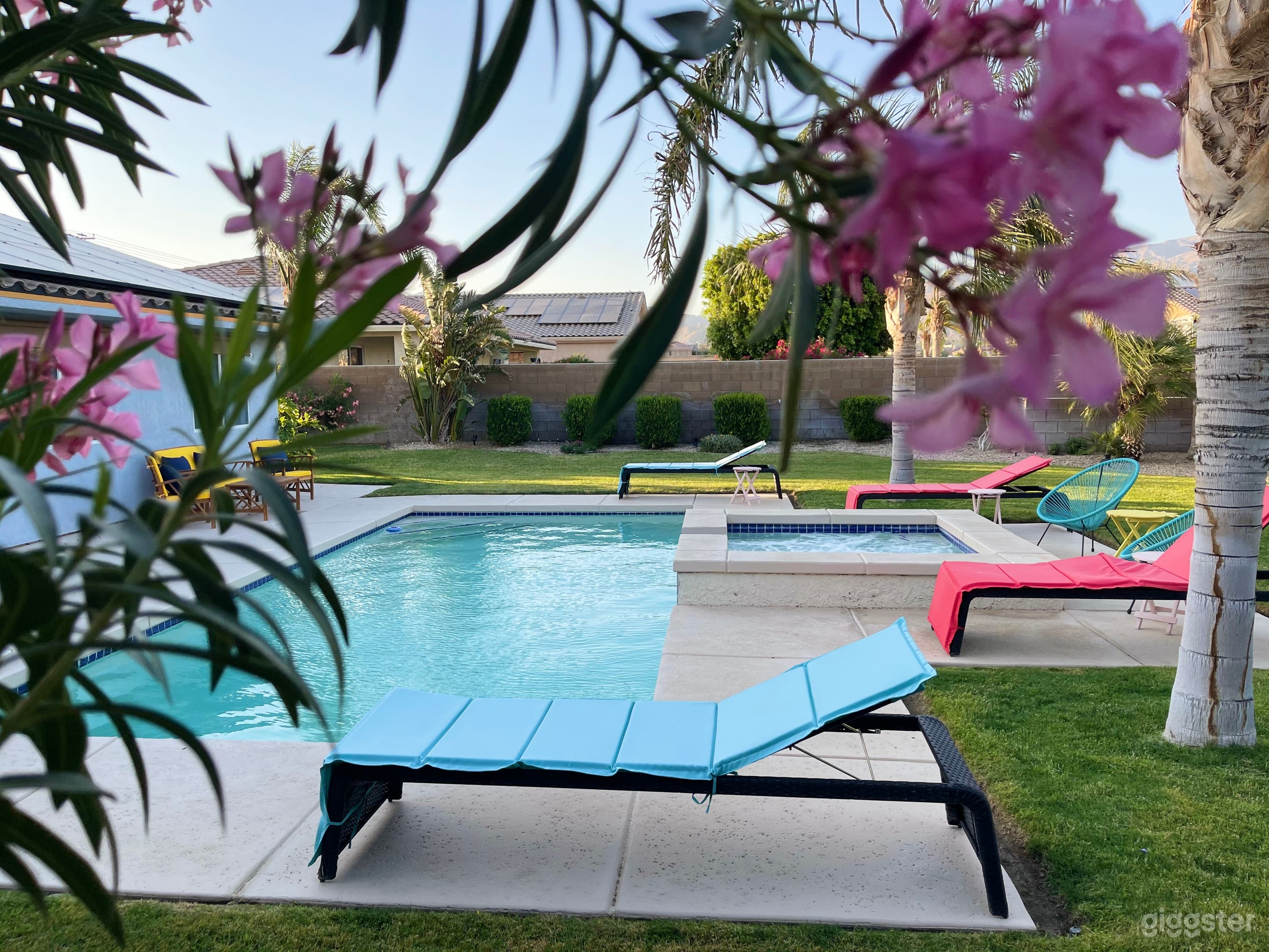 Backyard at day time