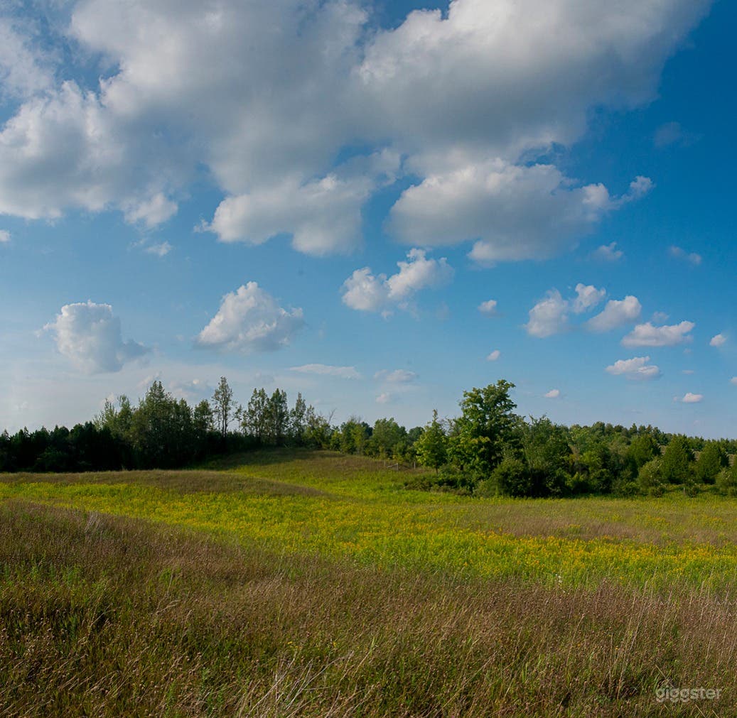Country Escape Rolling Hills Photo 3