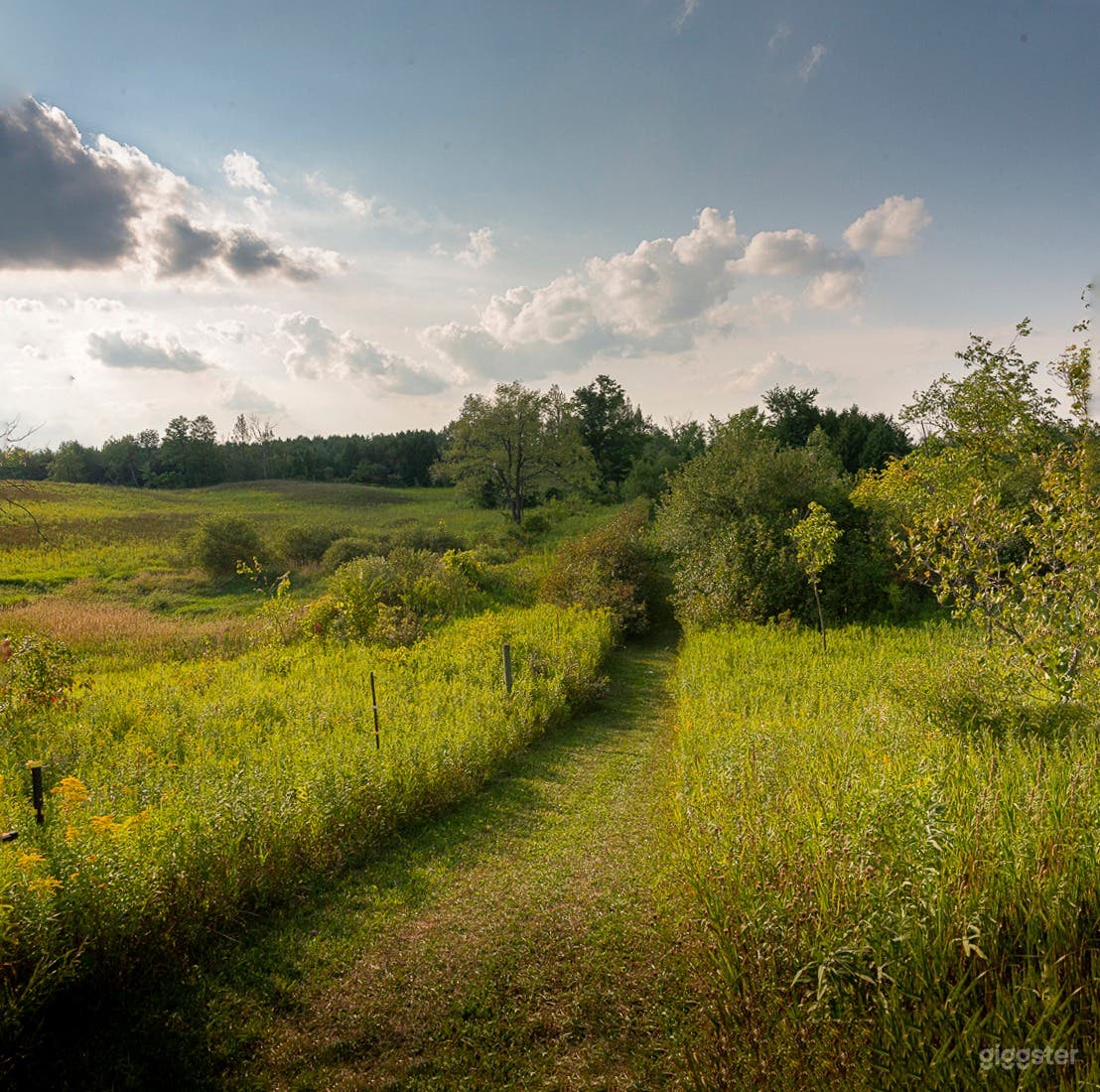 Country Escape Rolling Hills Photo 4