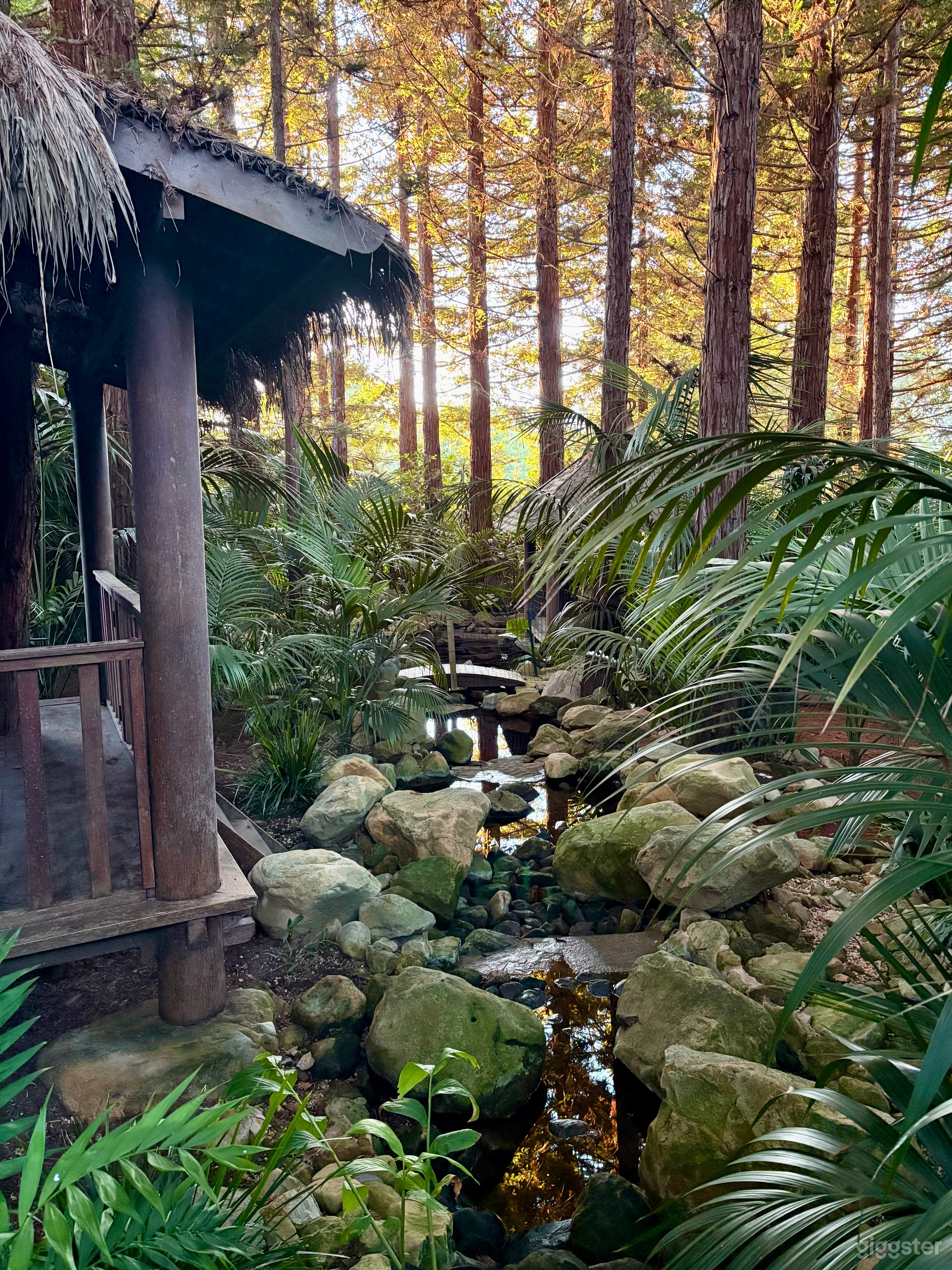 Cinematic Redwood Jungle Oasis w/ Pond, Trails & Bali-Style Photo 4