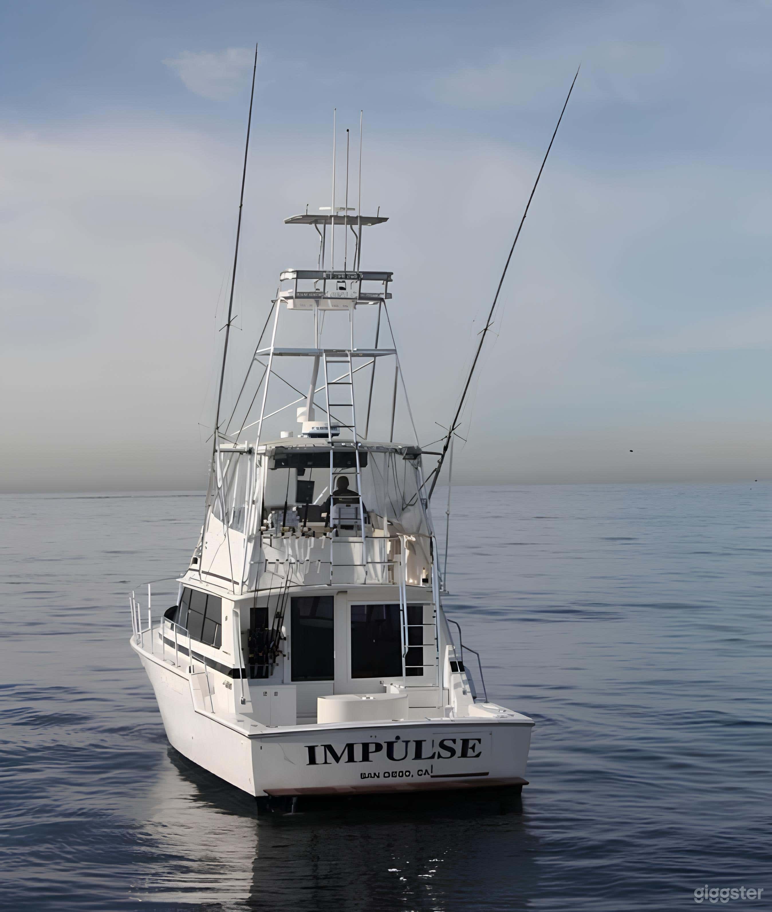 The Impulse 42'ft Bertram FISHING CHARTER Photo 3