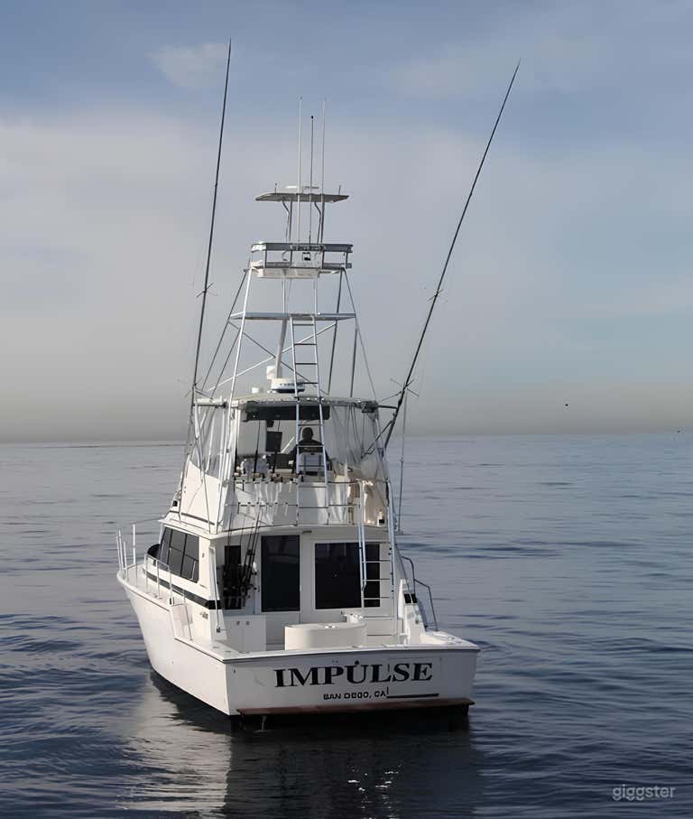  The Impulse 42'ft Bertram FISHING CHARTER 