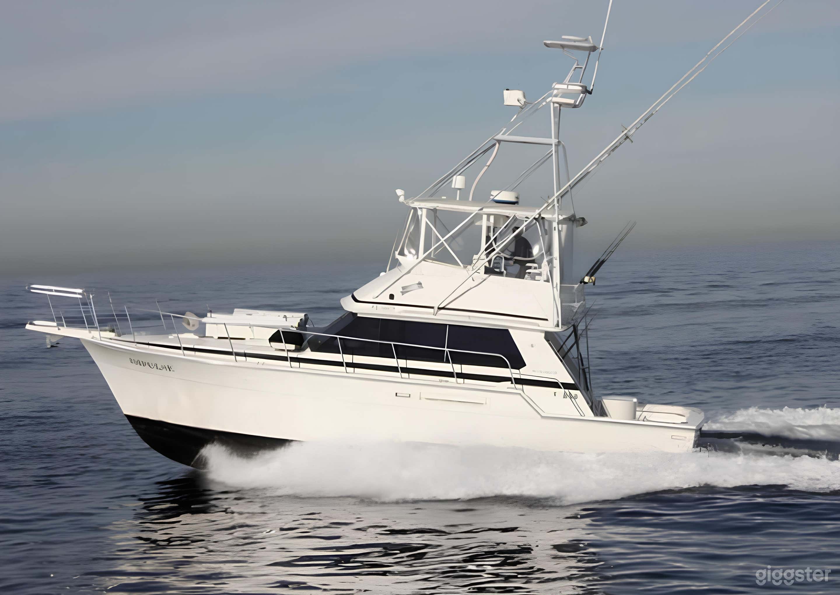The Impulse 42'ft Bertram FISHING CHARTER Photo 1