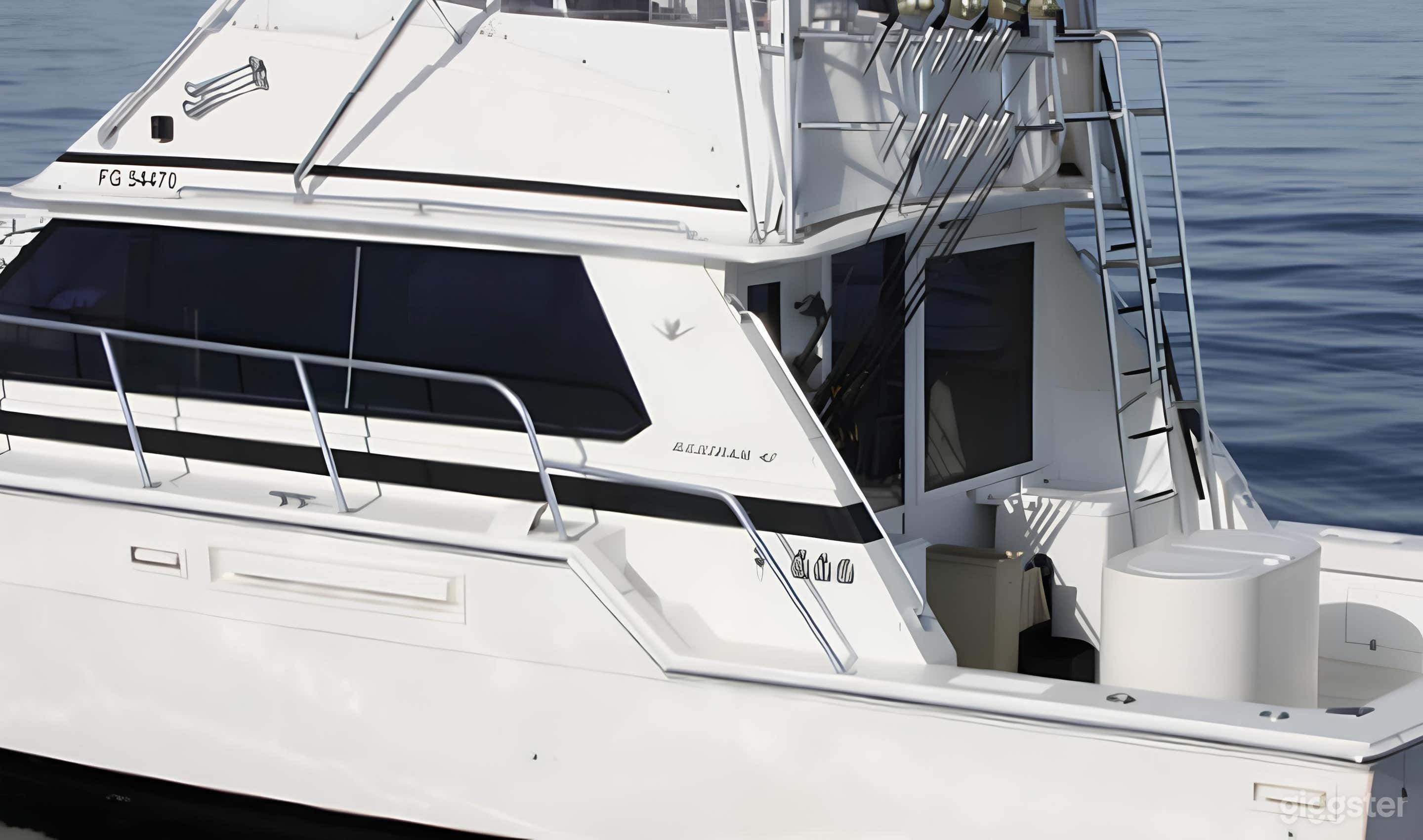 The Impulse 42'ft Bertram FISHING CHARTER Photo 4