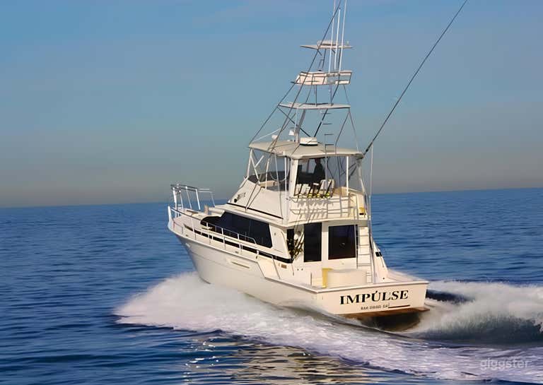  The Impulse 42'ft Bertram FISHING CHARTER 