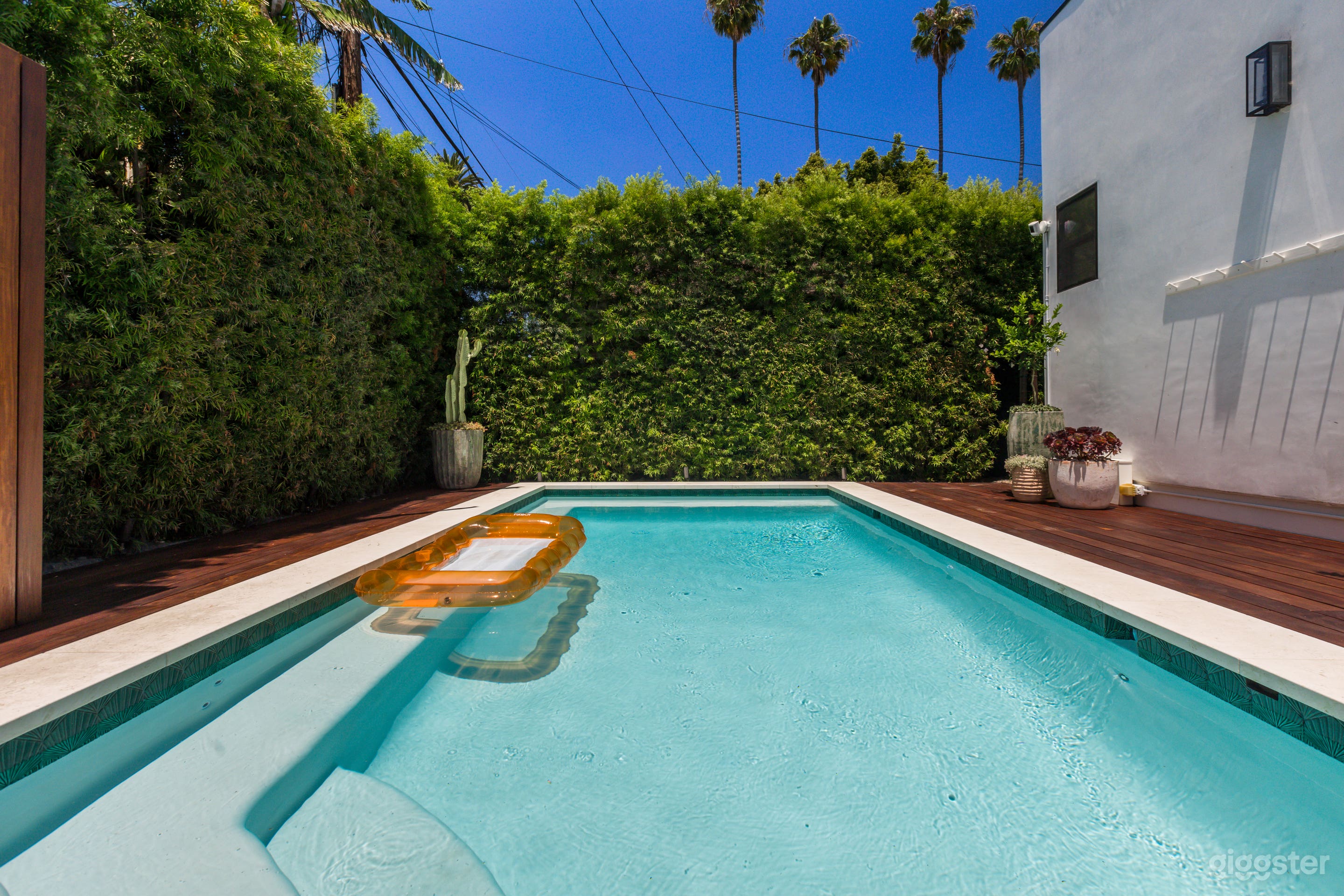 Light-filled contemporary California home+garden Photo 2