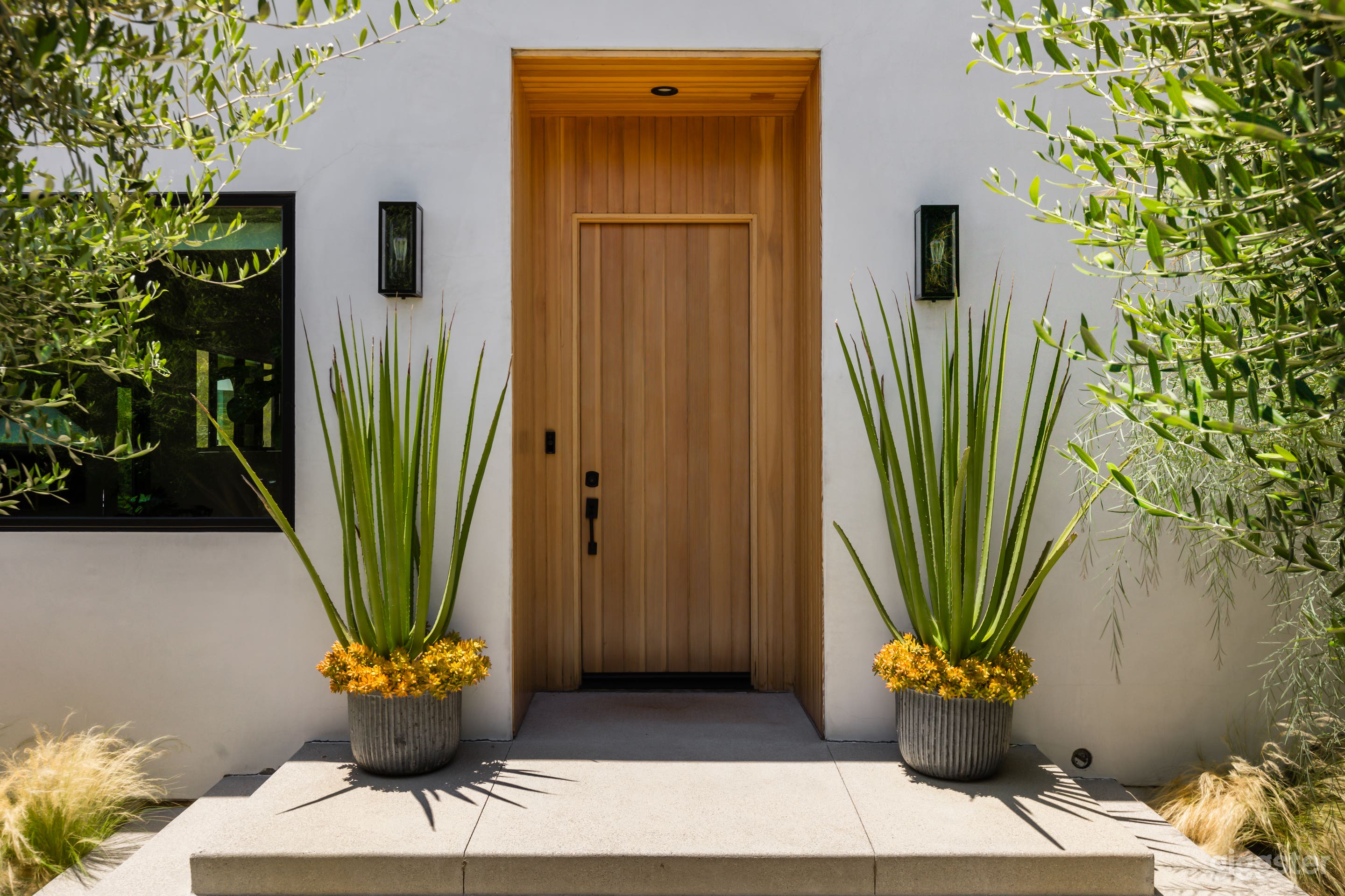 Light-filled contemporary California home+garden Photo 3