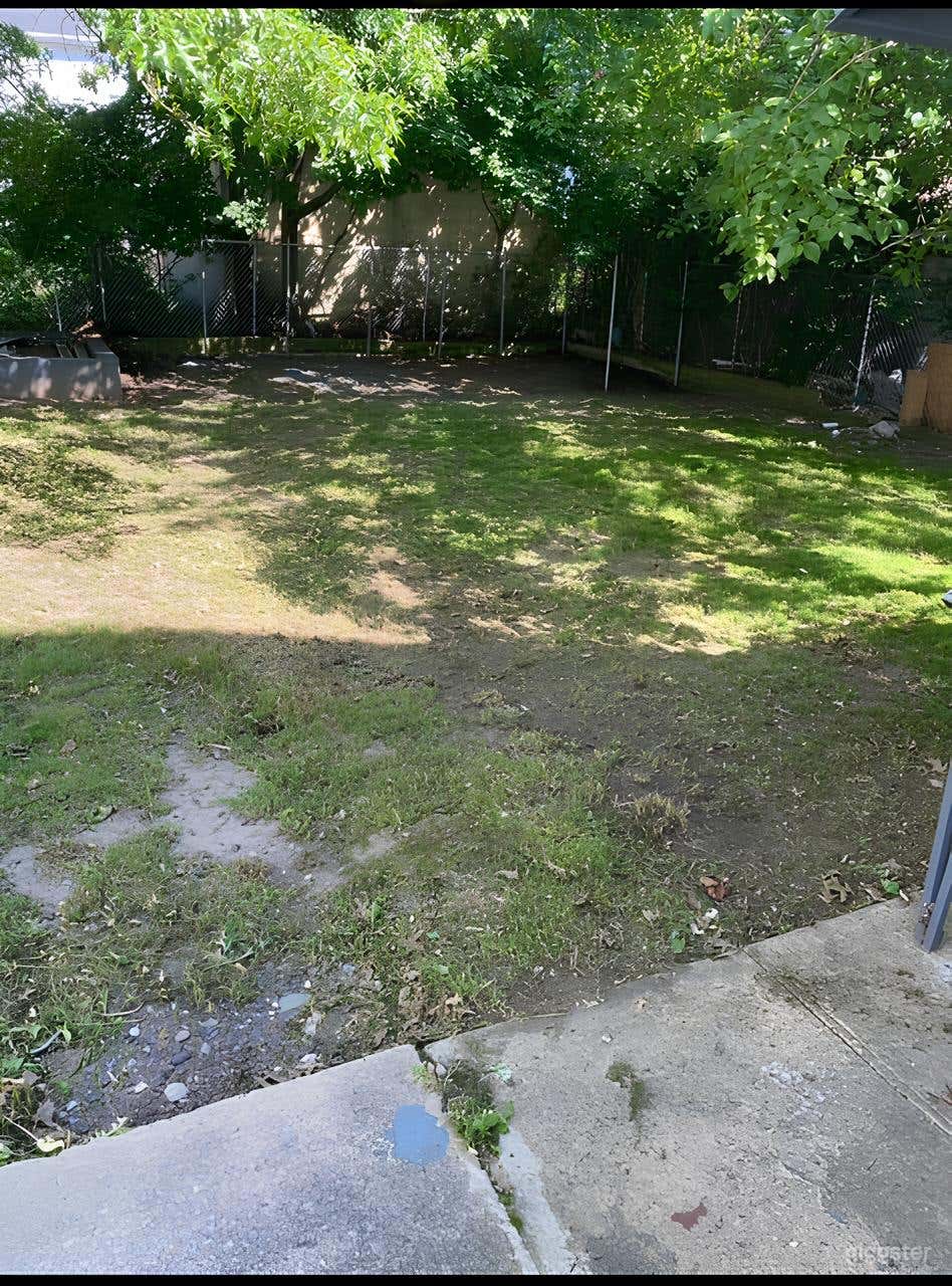 Charming Shaded Backyard Photo 3