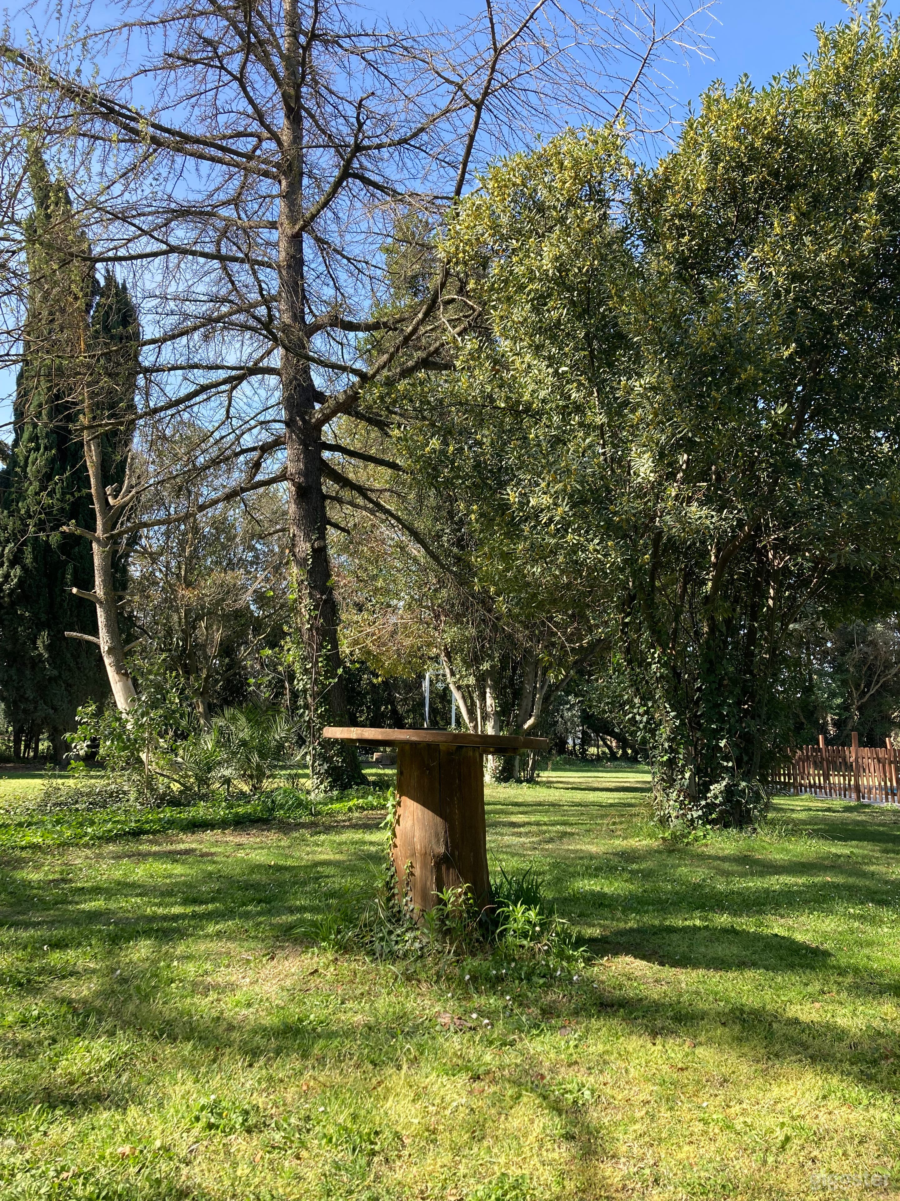 Encantadora finca española para celebraciones, sesiones y talleres Foto 4