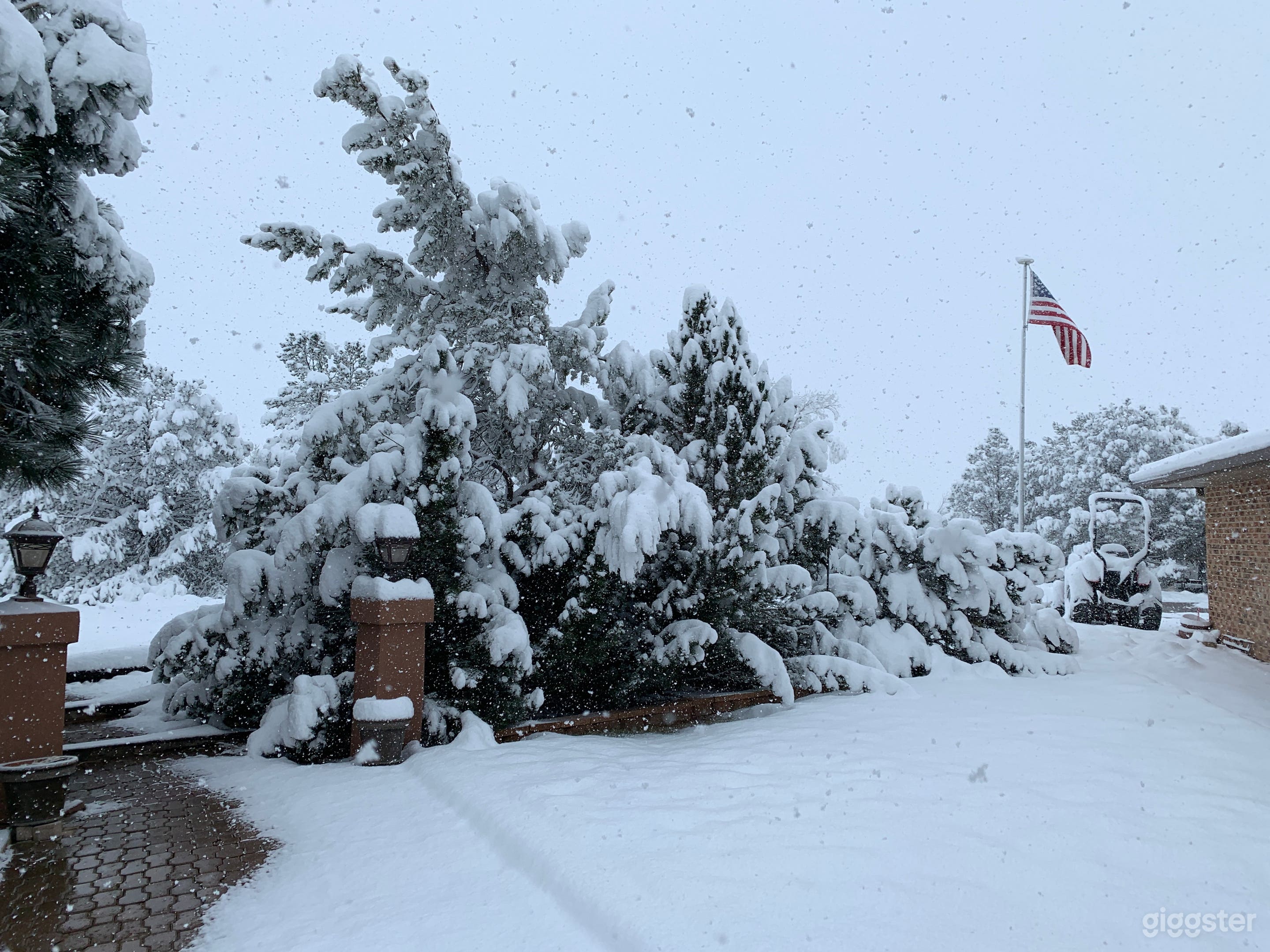 Winter West corner front yard