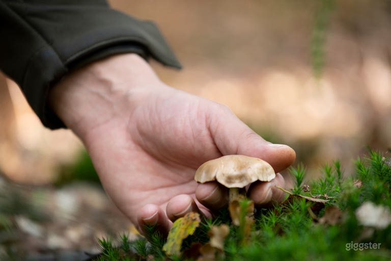  Creative Cookery School in Brighton 