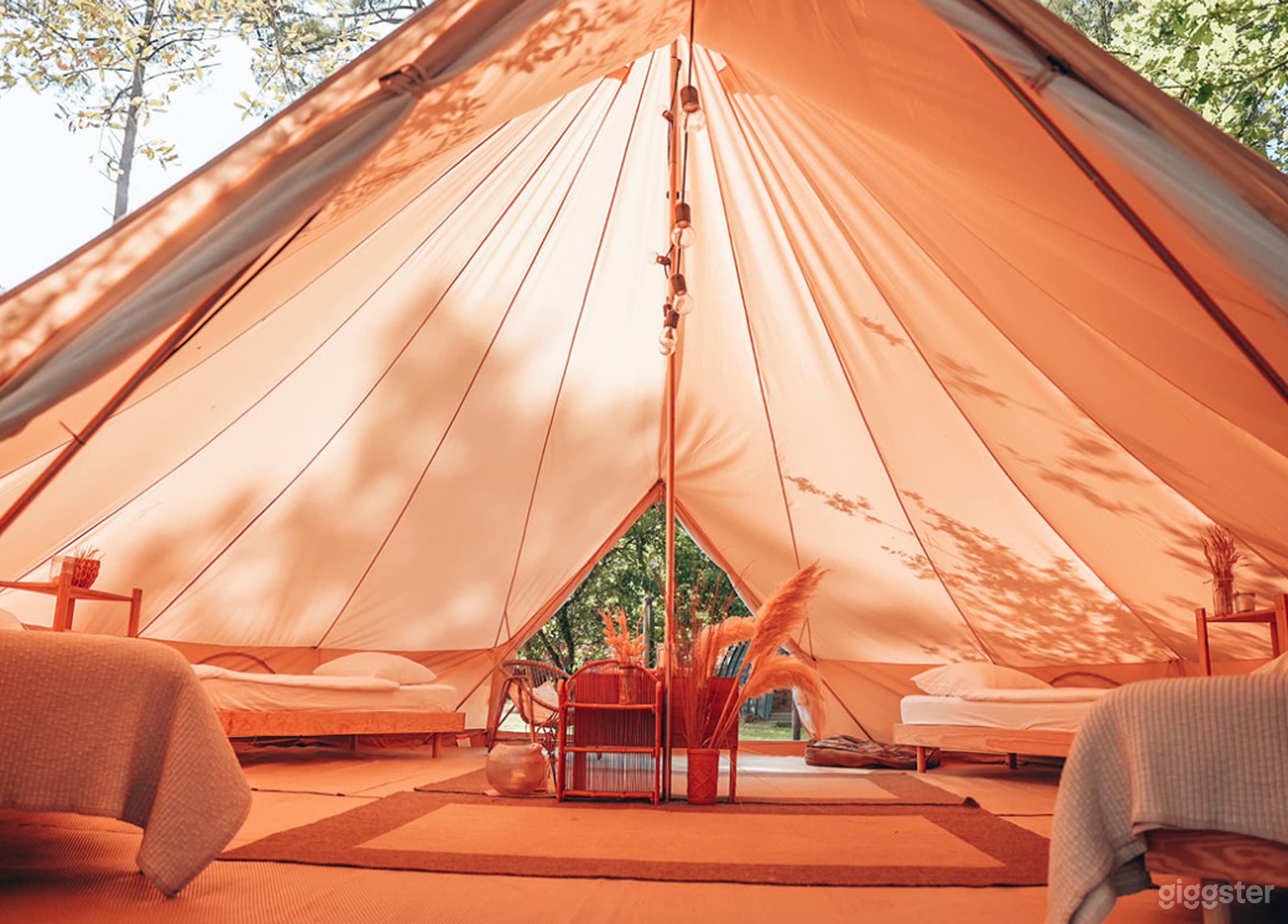 Photo de Retraite Tipi Enchantée en Forêt 3