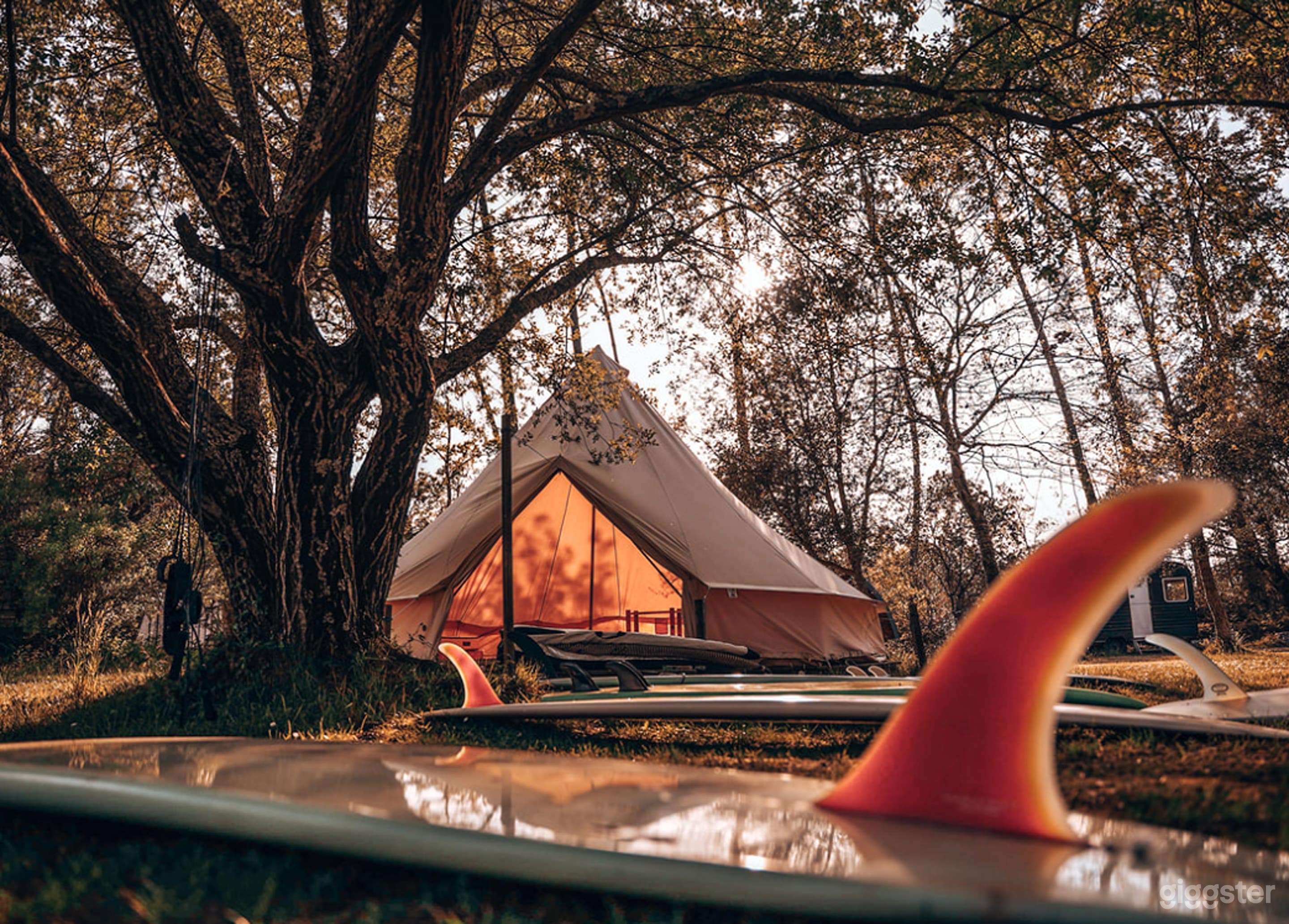 Photo de Retraite Tipi Enchantée en Forêt 1
