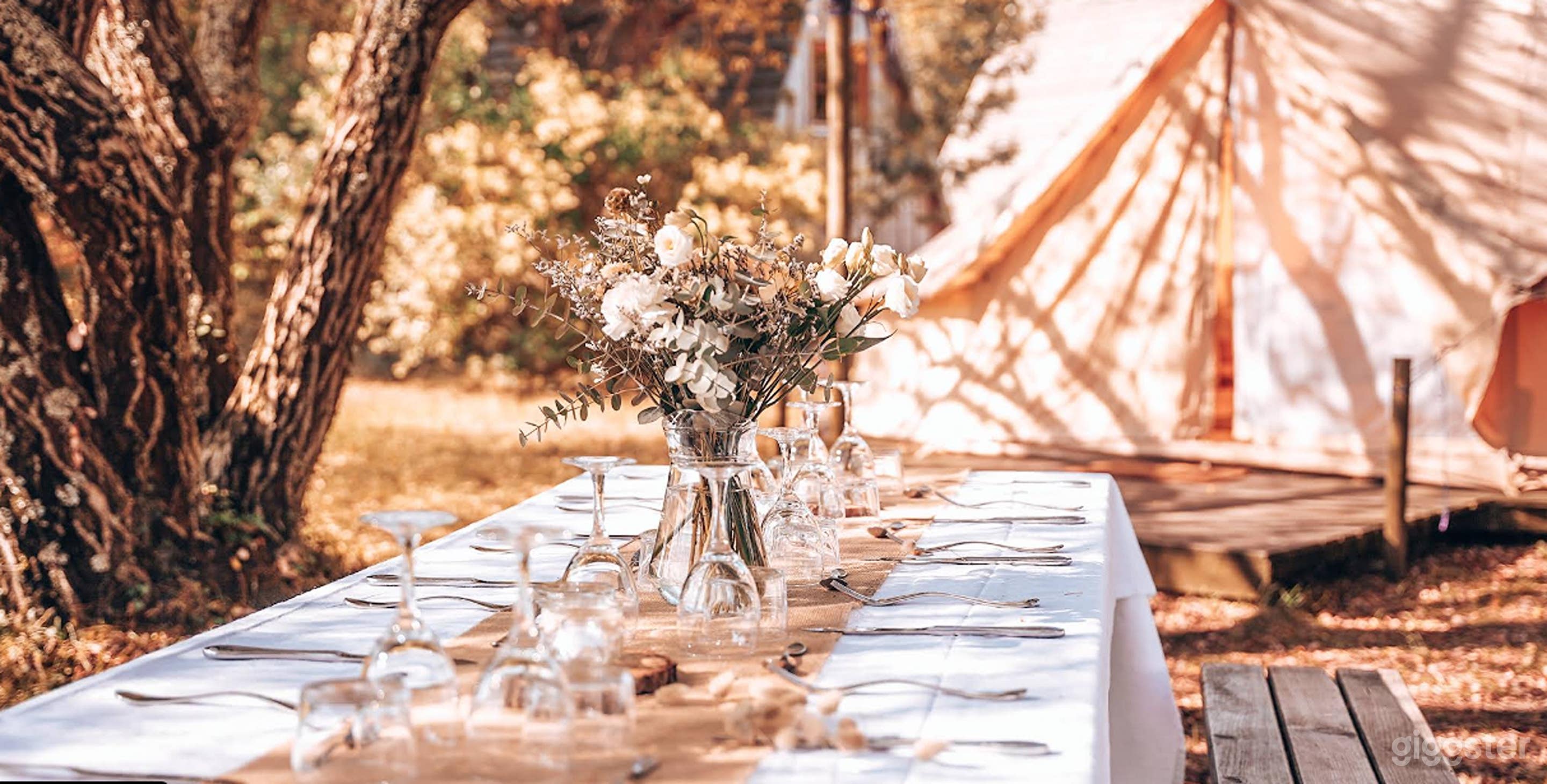 Photo de Retraite Tipi Enchantée en Forêt 4