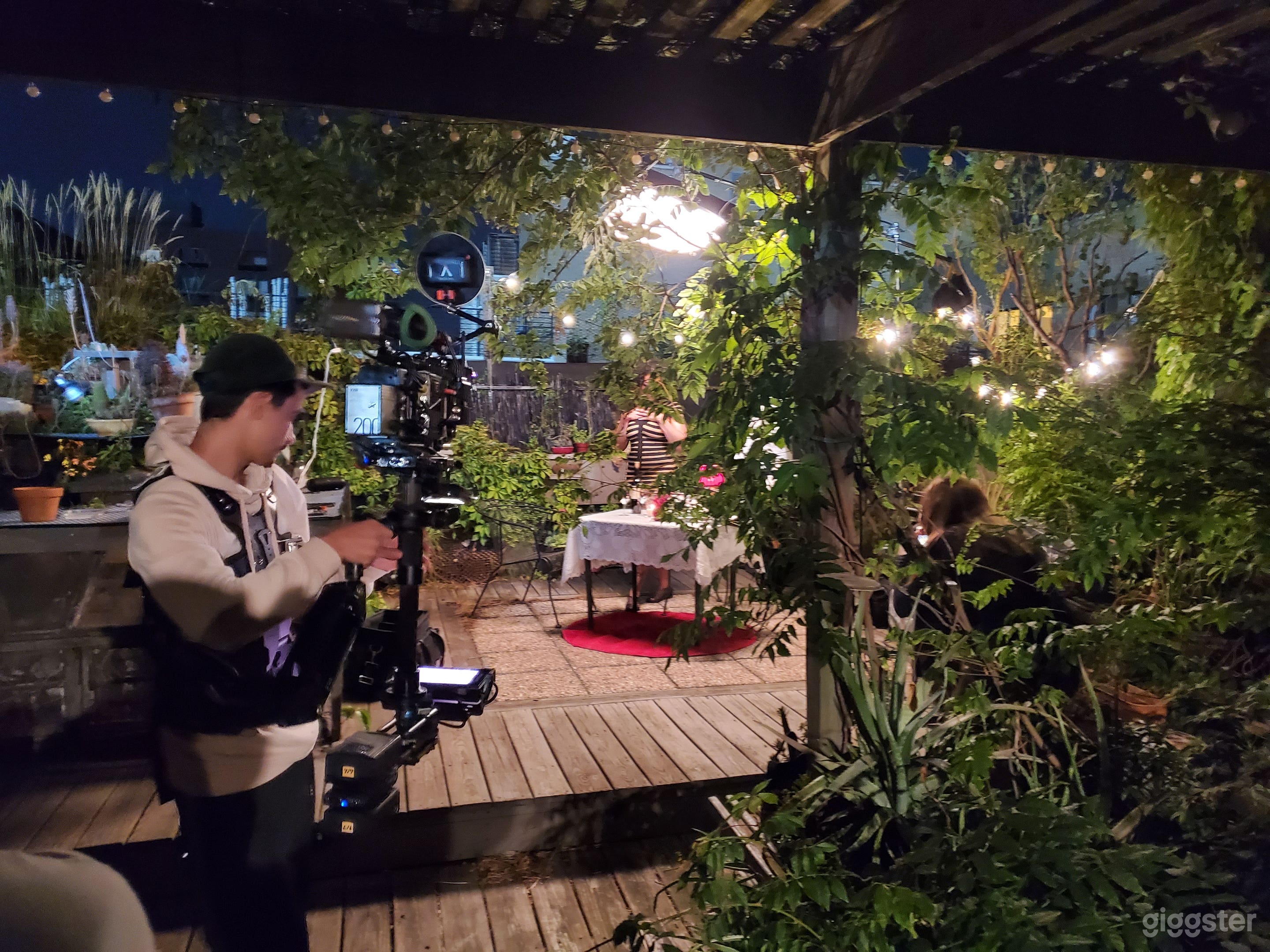 Rooftop Gardens on Industrial Studio Building  Photo 4