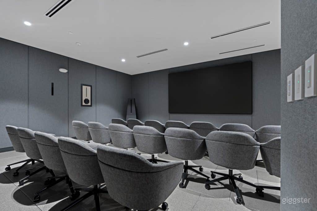 Theatre (Screening Room) Photo 4