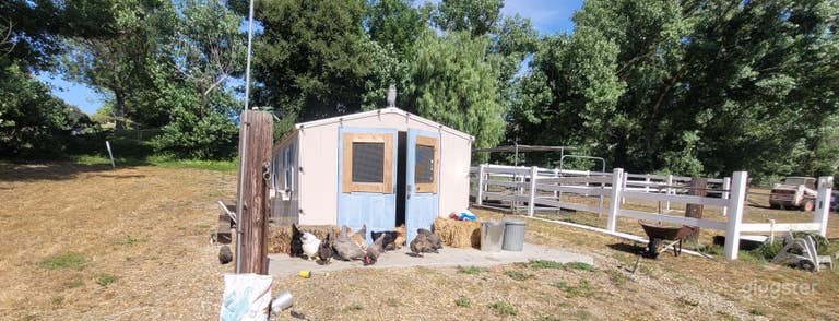  Horse property with chicken coup 