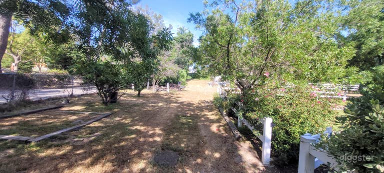  Horse property with chicken coup 