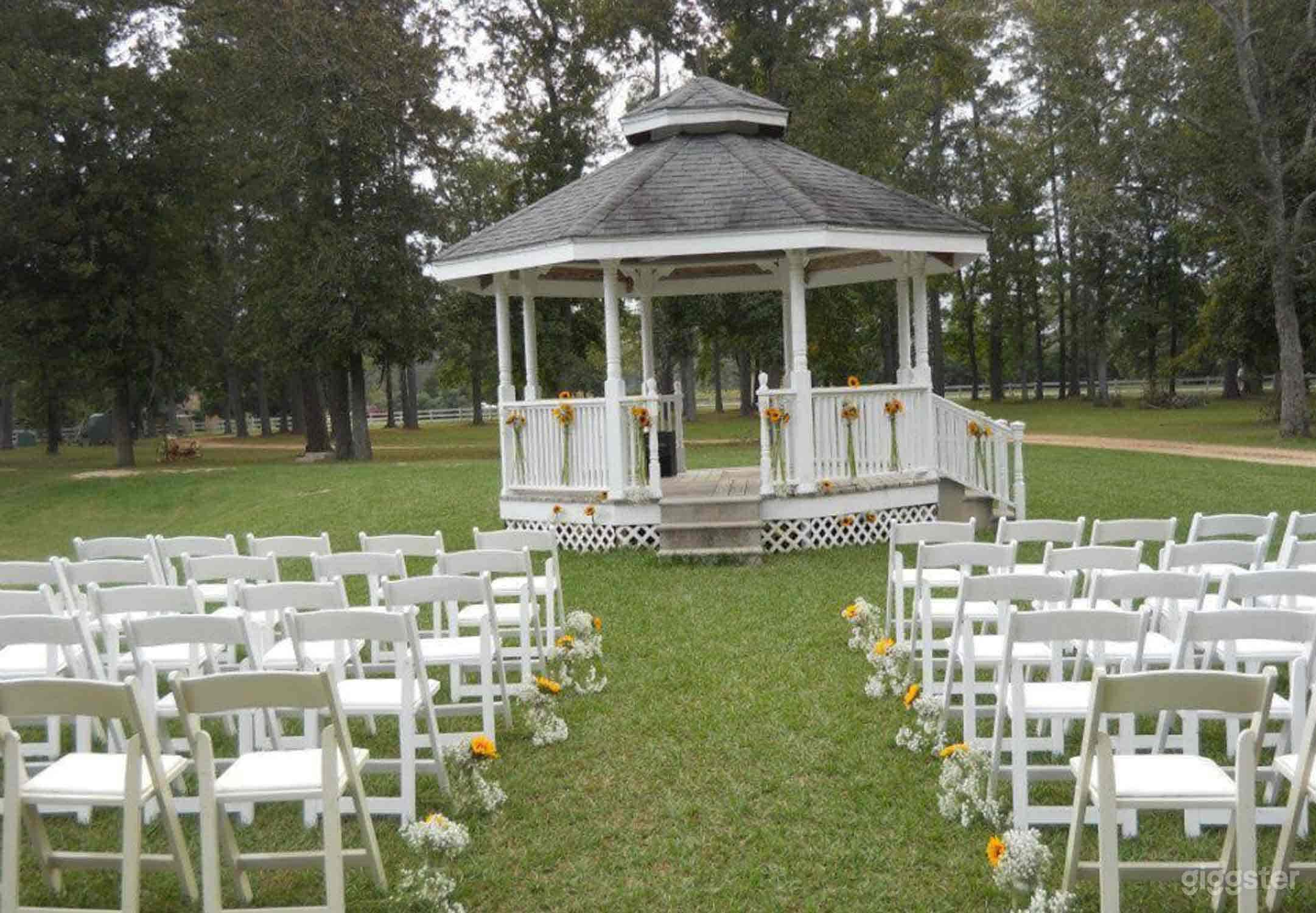 Beautiful Lawn in Cleveland Photo 1