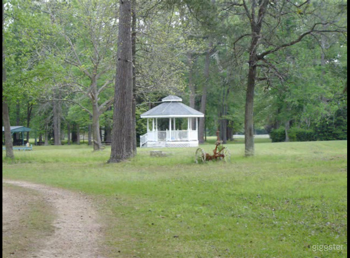 Beautiful Lawn in Cleveland Photo 4